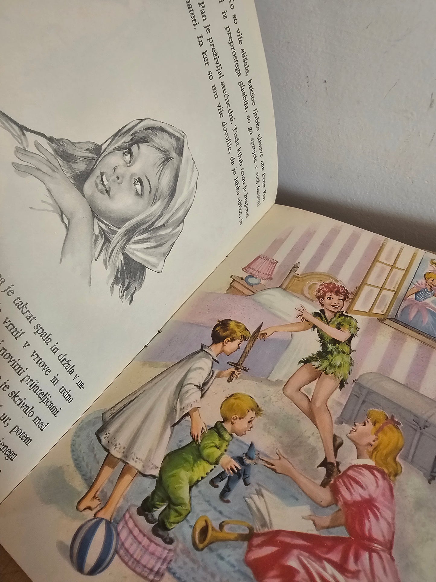 Otroški klasiki Pepelka, Peter Pan  Ch. Perrault J.M.Barrie