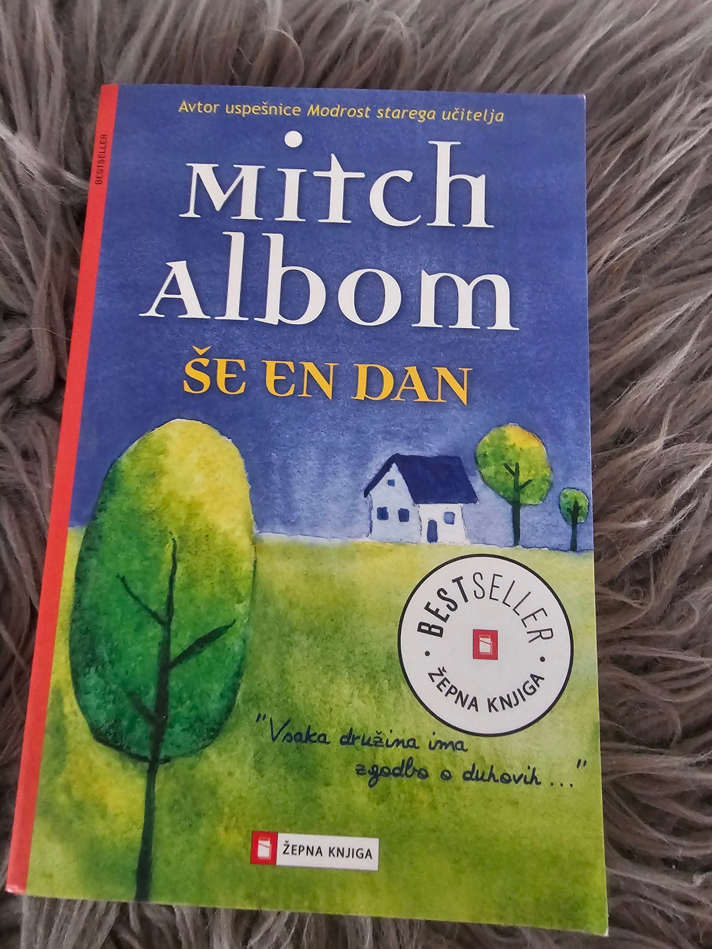Še een dan Mitch Albom