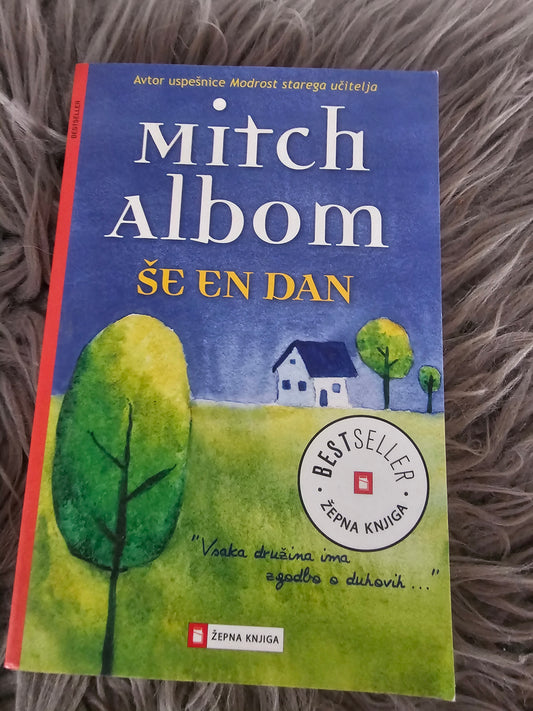 Še een dan Mitch Albom