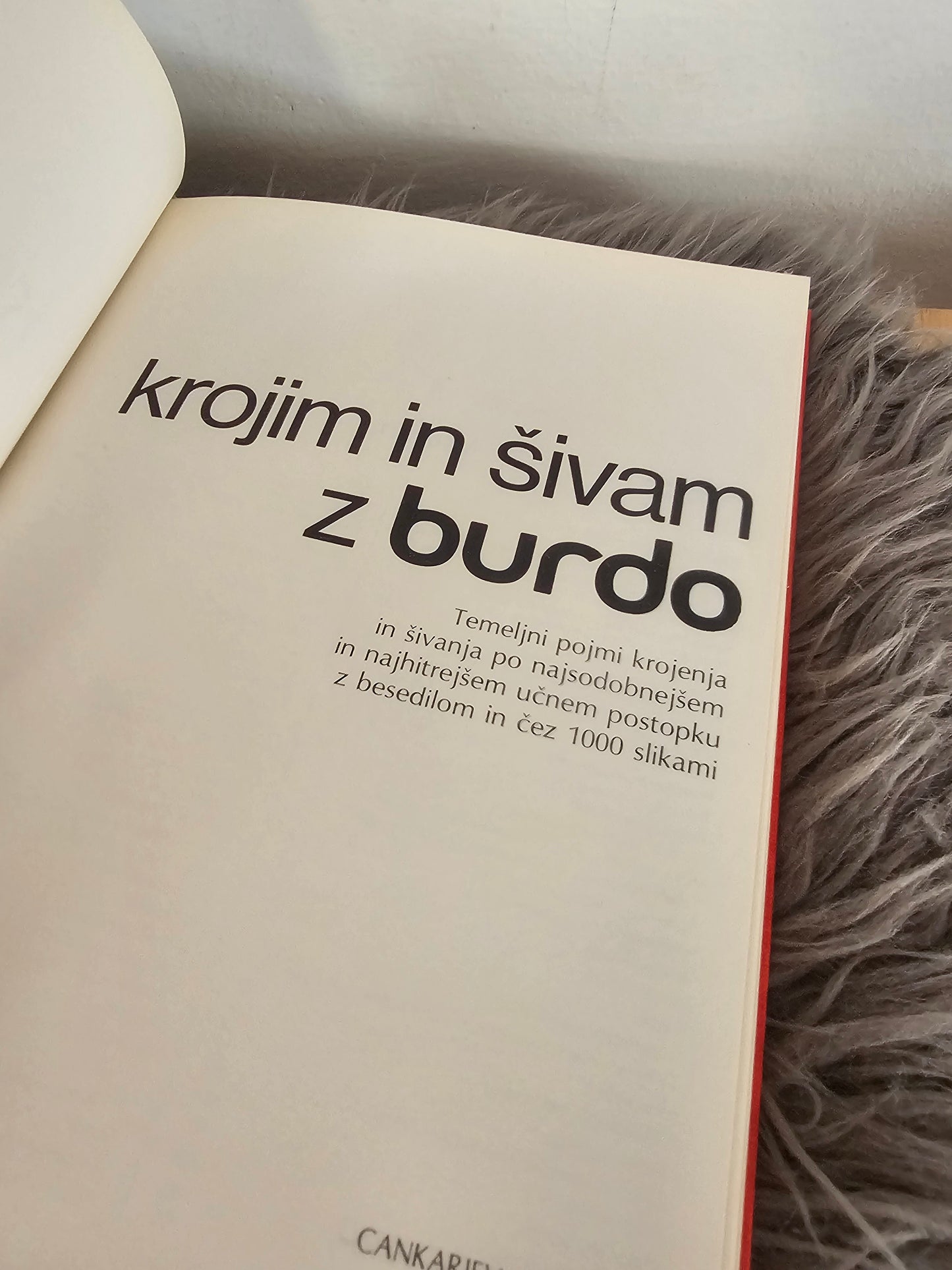 Krojim in šivam z burdo več avtorjev
