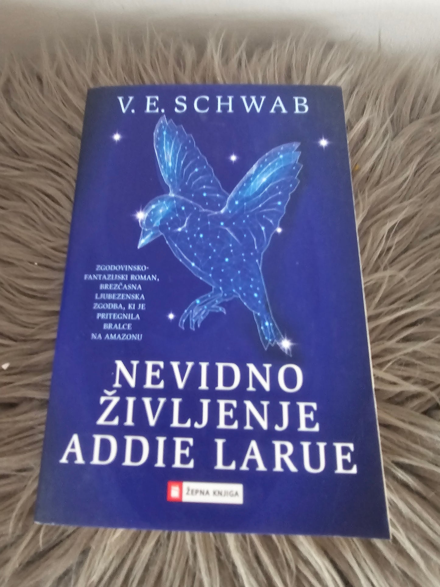 Nevidno življenje Addie Larue  V.E.Schwab