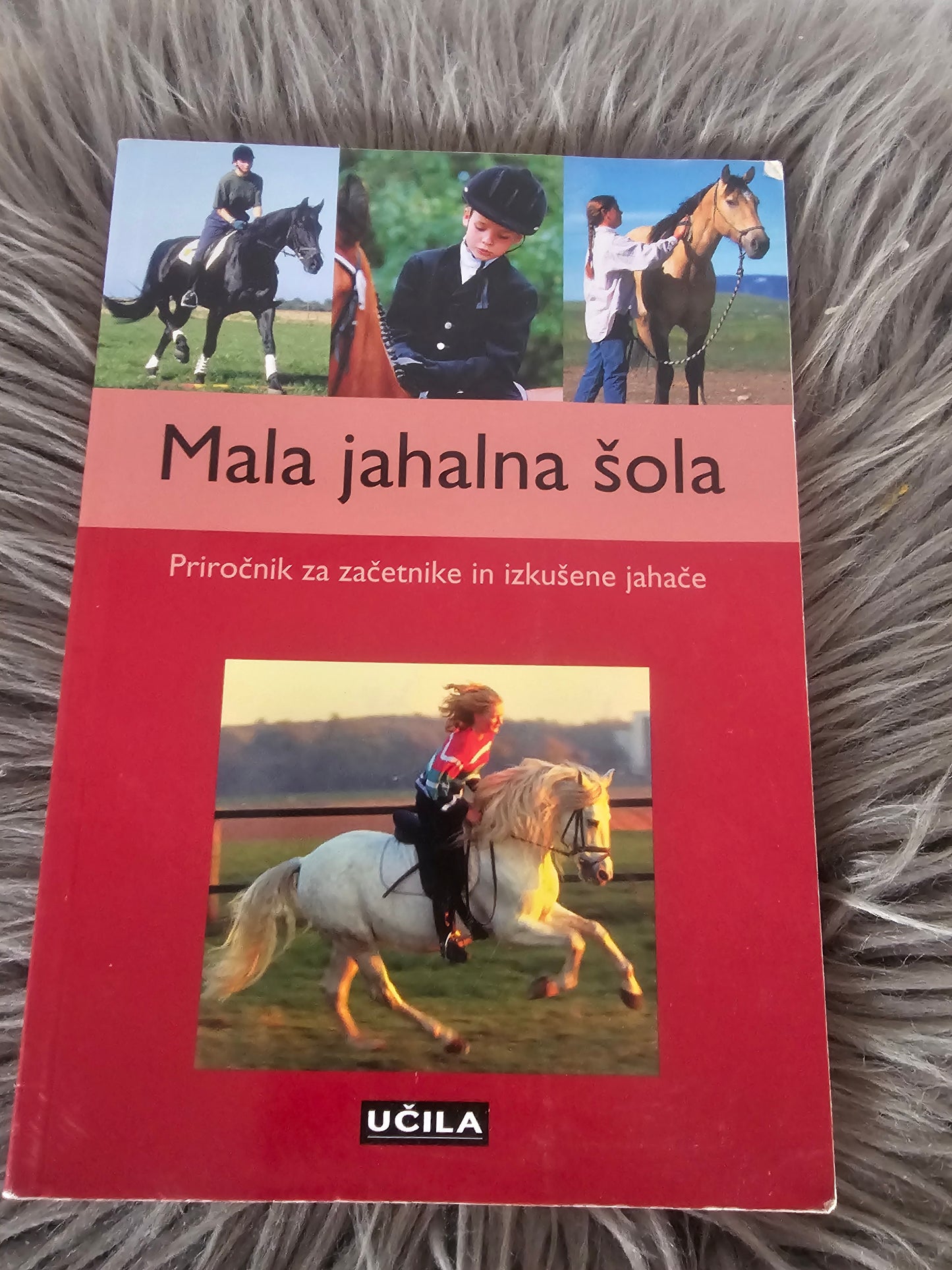 Mala jahalna šola Učila