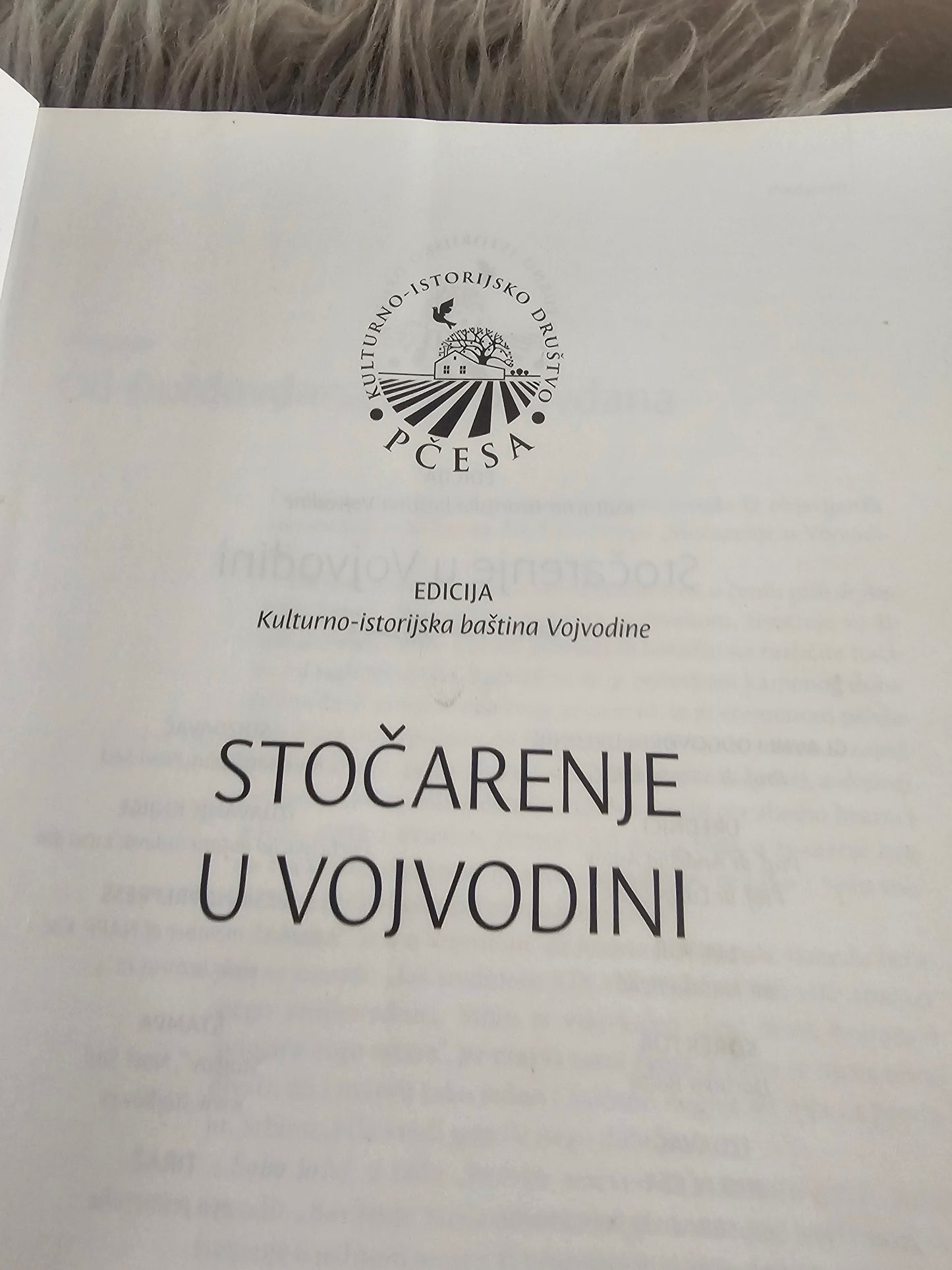 Stočarjenje v Vojvodii Kid Pčesa