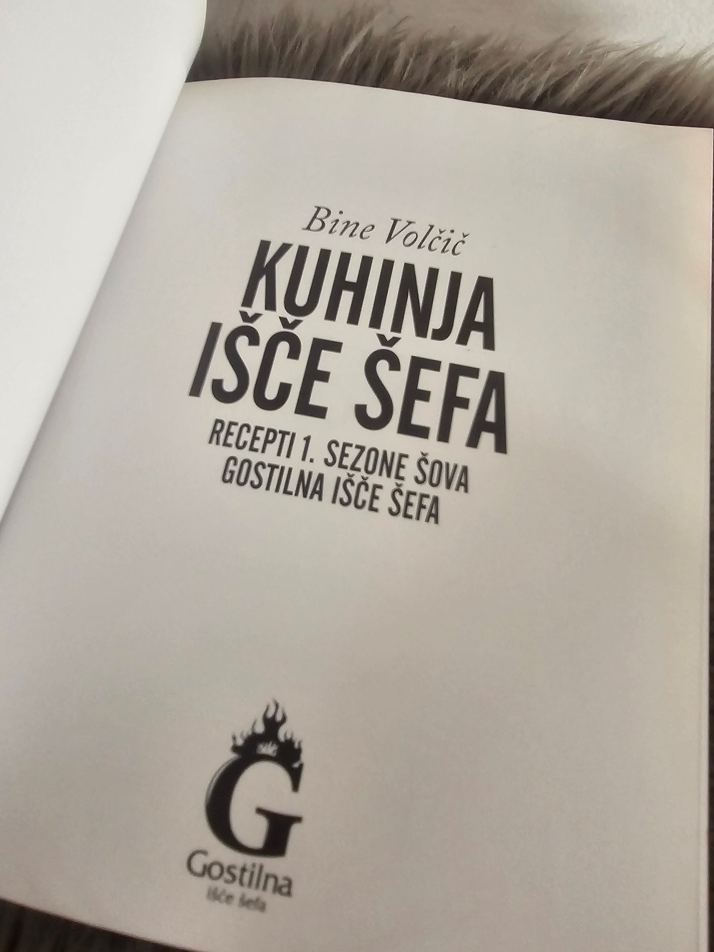 Kuhinja išče šefa Bine Volčič