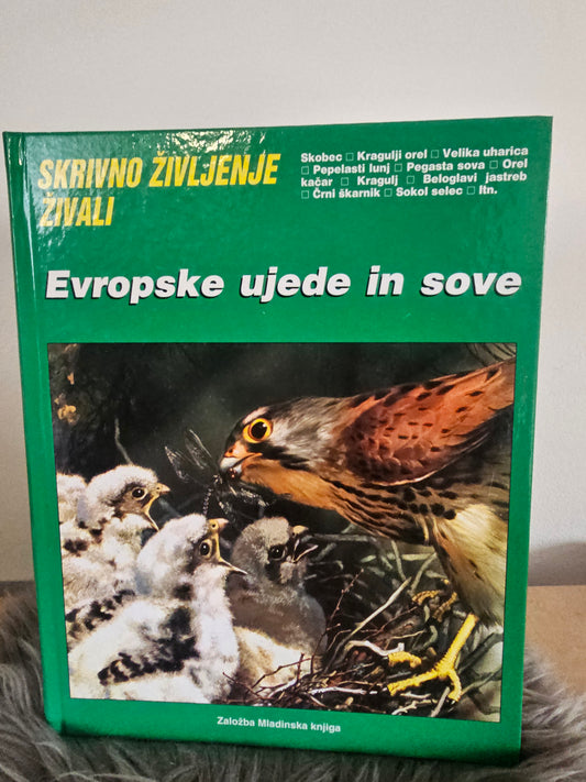 Evropske ujede in  sove Založba Mladinska knjiga