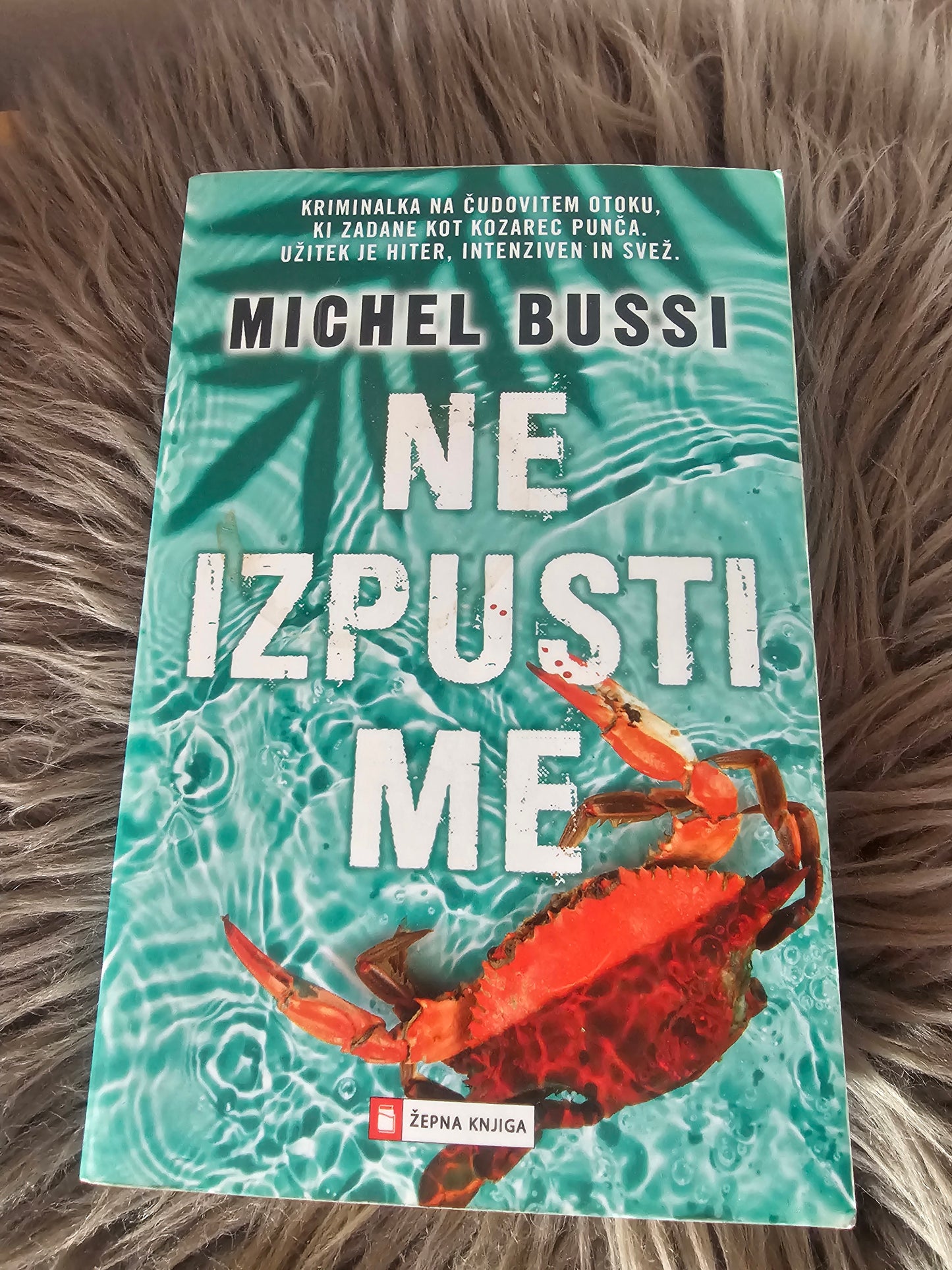 Ne izpusti me Michael Bussi