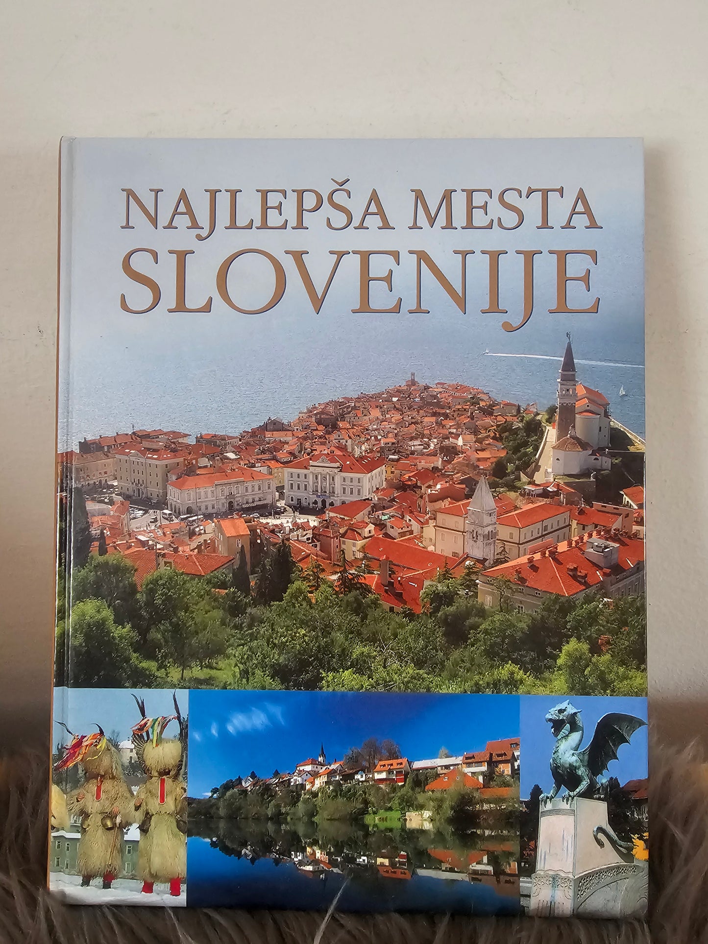 Najlepša mesta Slovenije Svet knjige