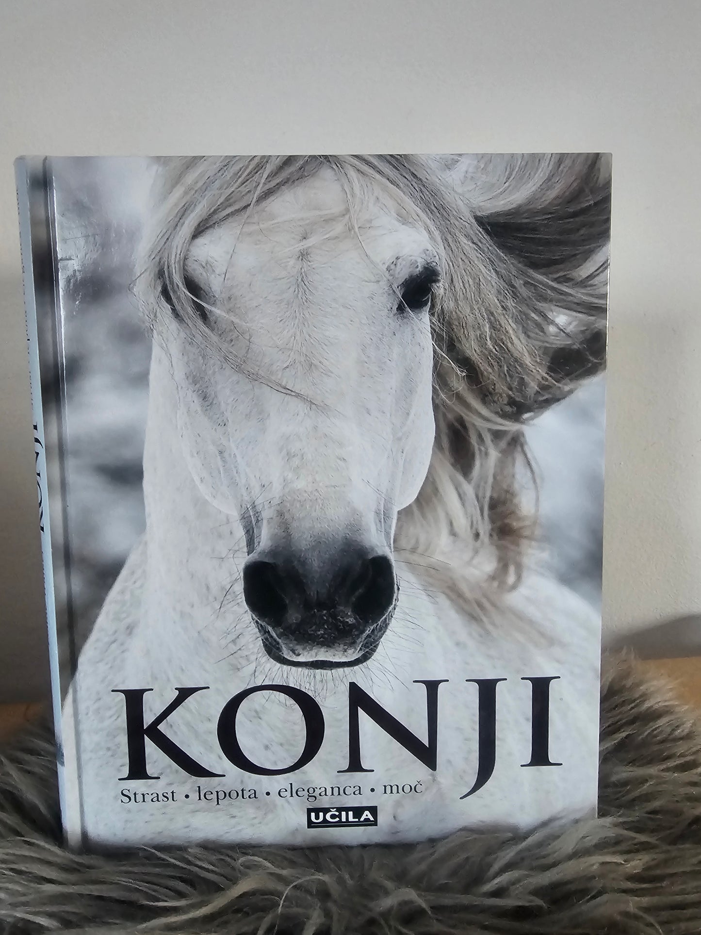 Konji Elaine Walker