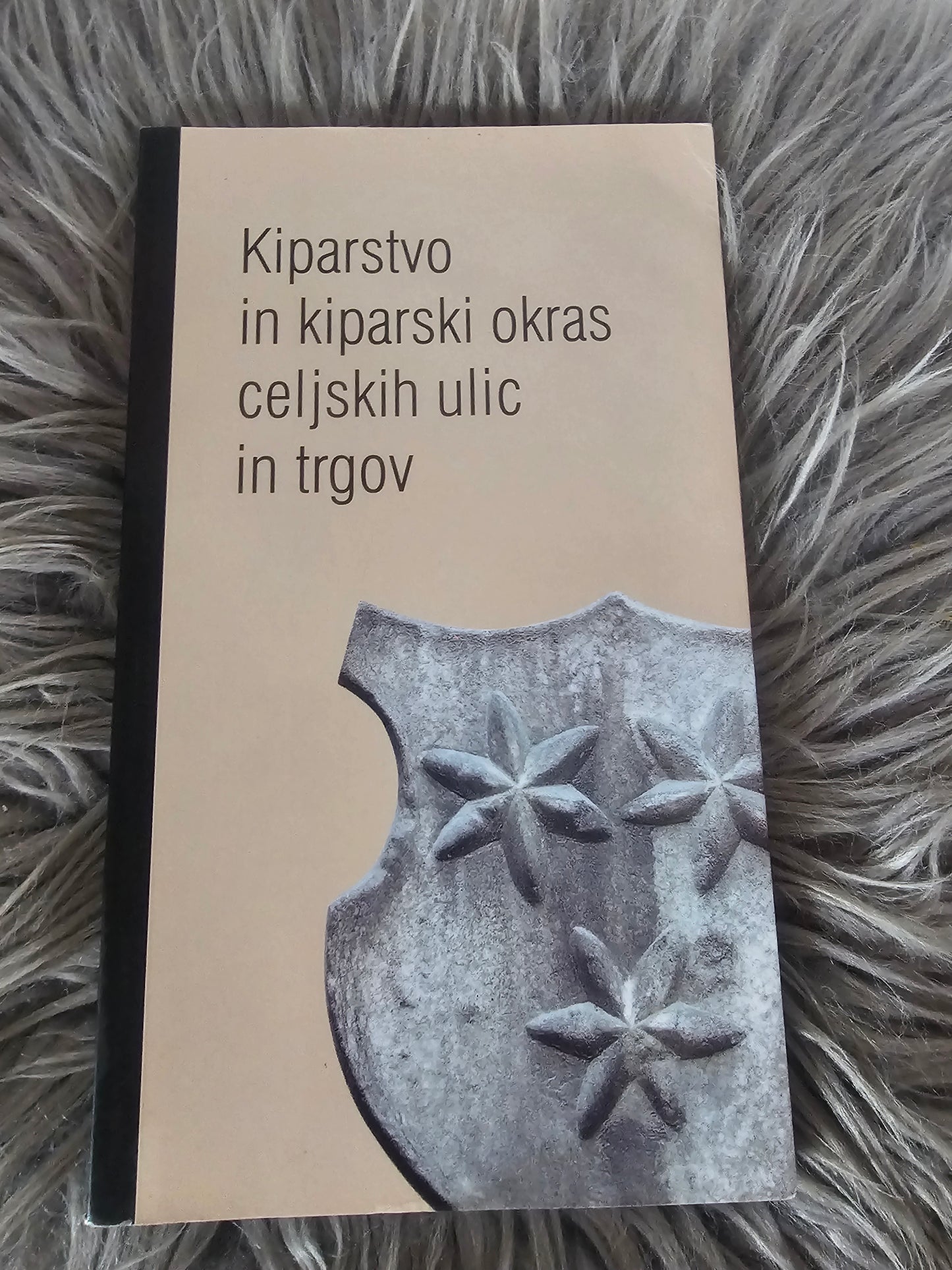 Kiparstvo in kiparski okras celjskih ulic in trgovin Turistično društvo Celje