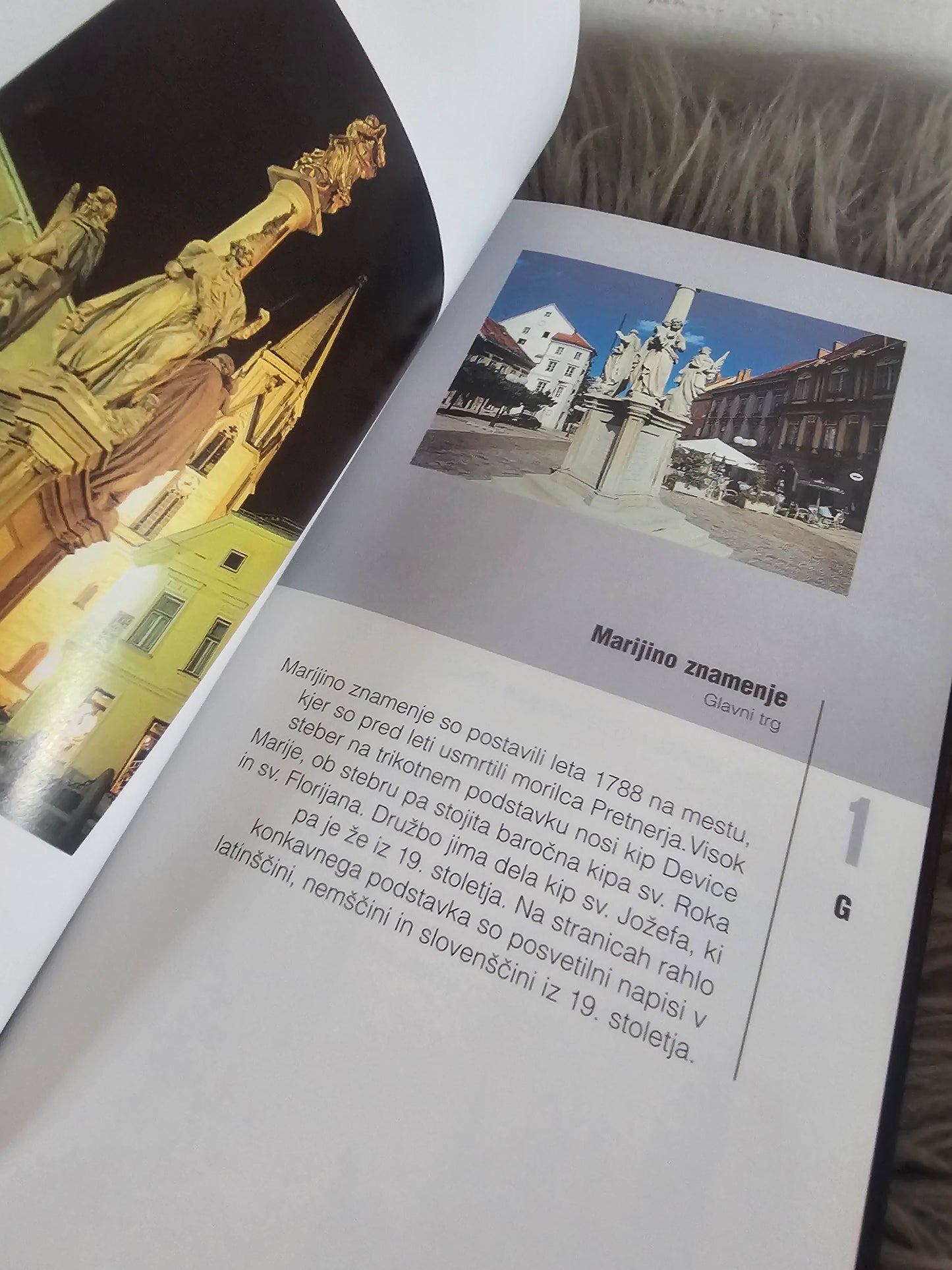 Kiparstvo in kiparski okras celjskih ulic in trgovin Turistično društvo Celje