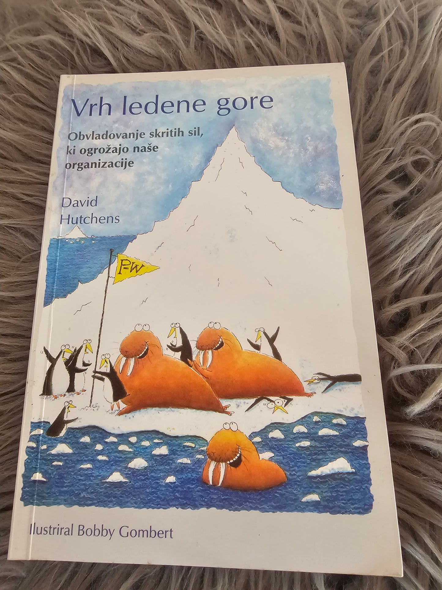 Vrh ledene gore David Hutchens