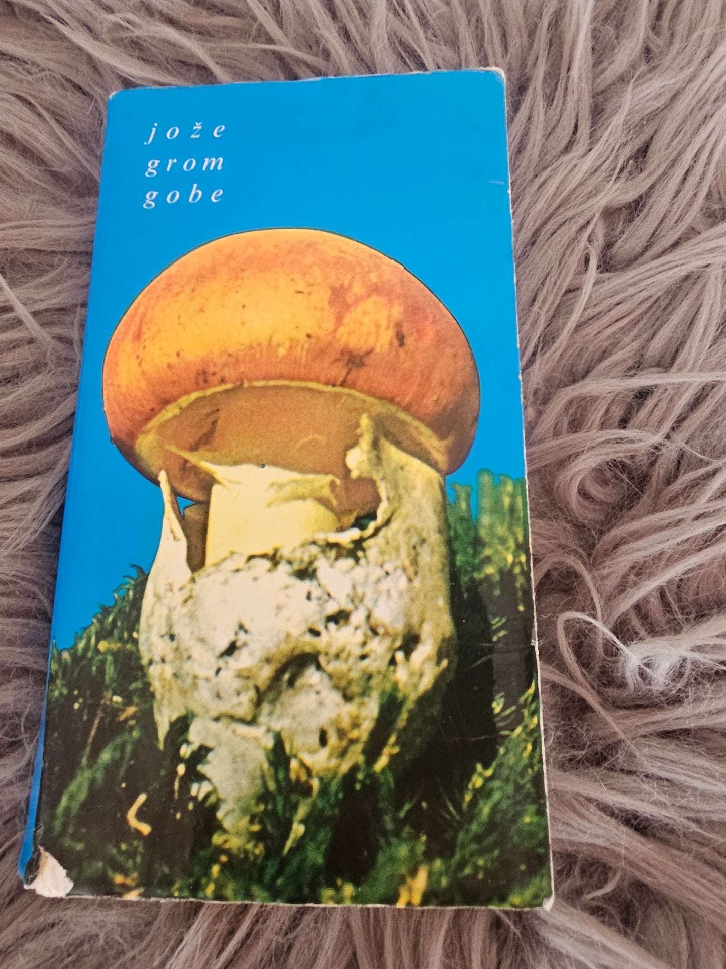 Gobe Jože Grom
