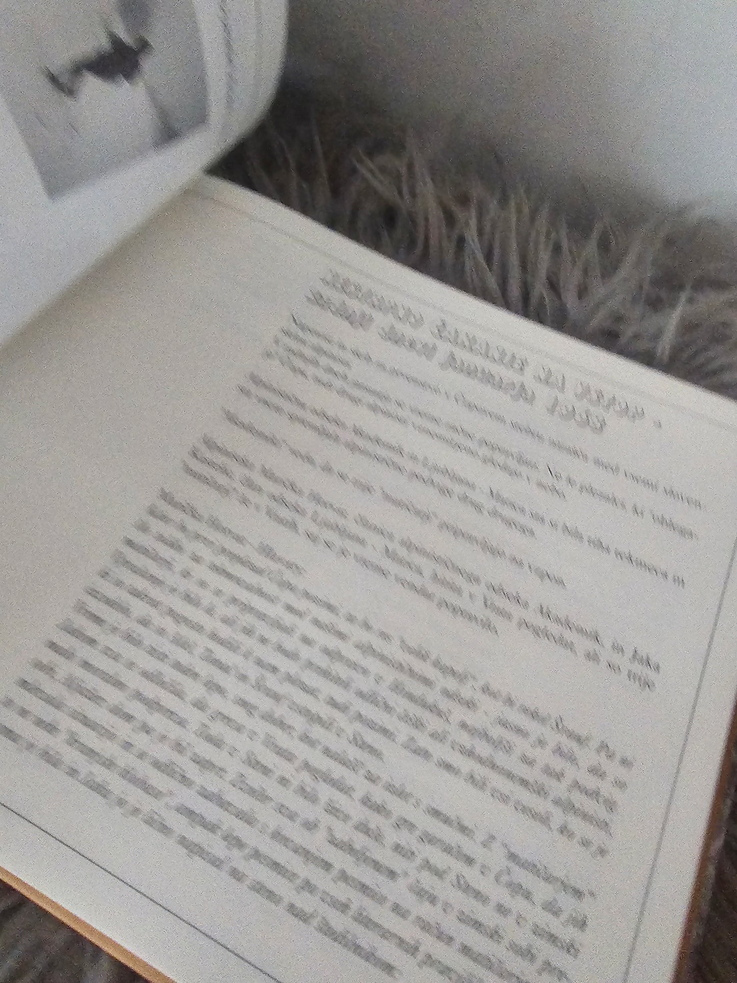 Čopov steber dvakrat prvič več avtorjev