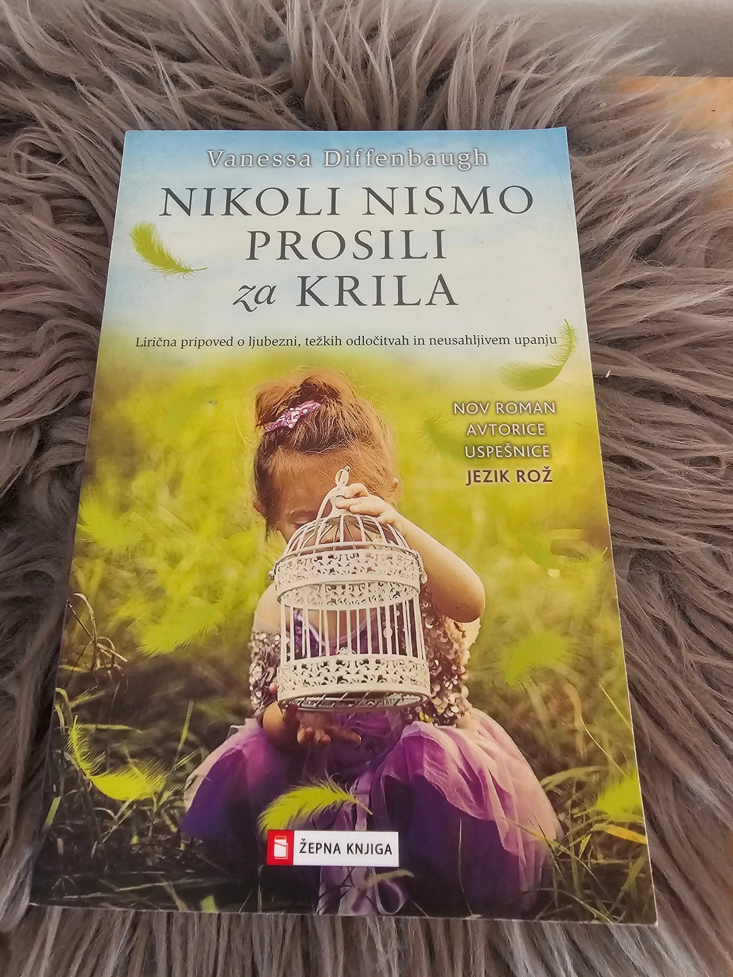Nikoli nismo prosili za krila Vanessa Diffenbaugh