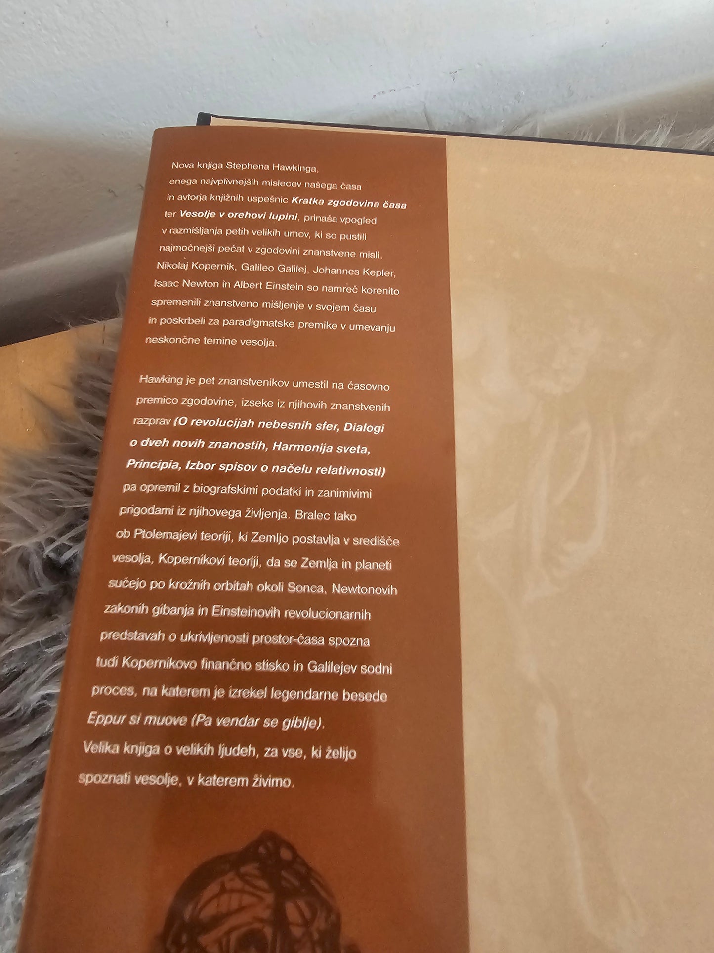 Na ramenih velikanov Stephen Hawking