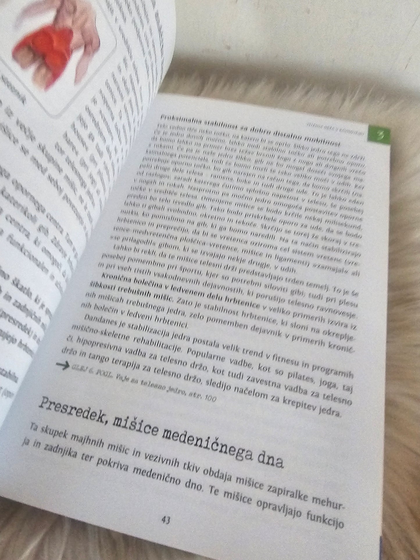 Adijo, bolečine v hrbtu Sonia Valentina Tomazin