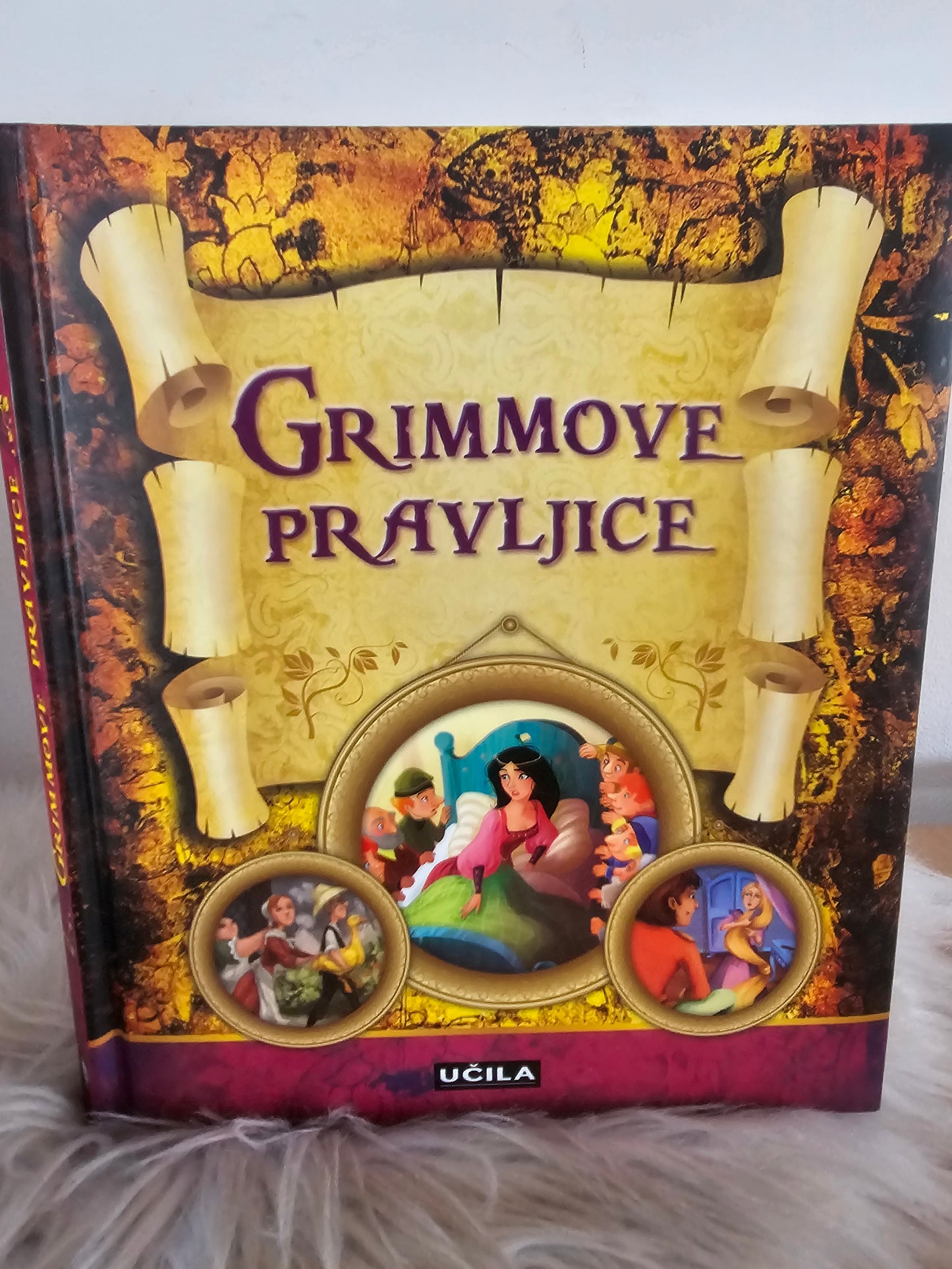 Grimmove pravljice Učila