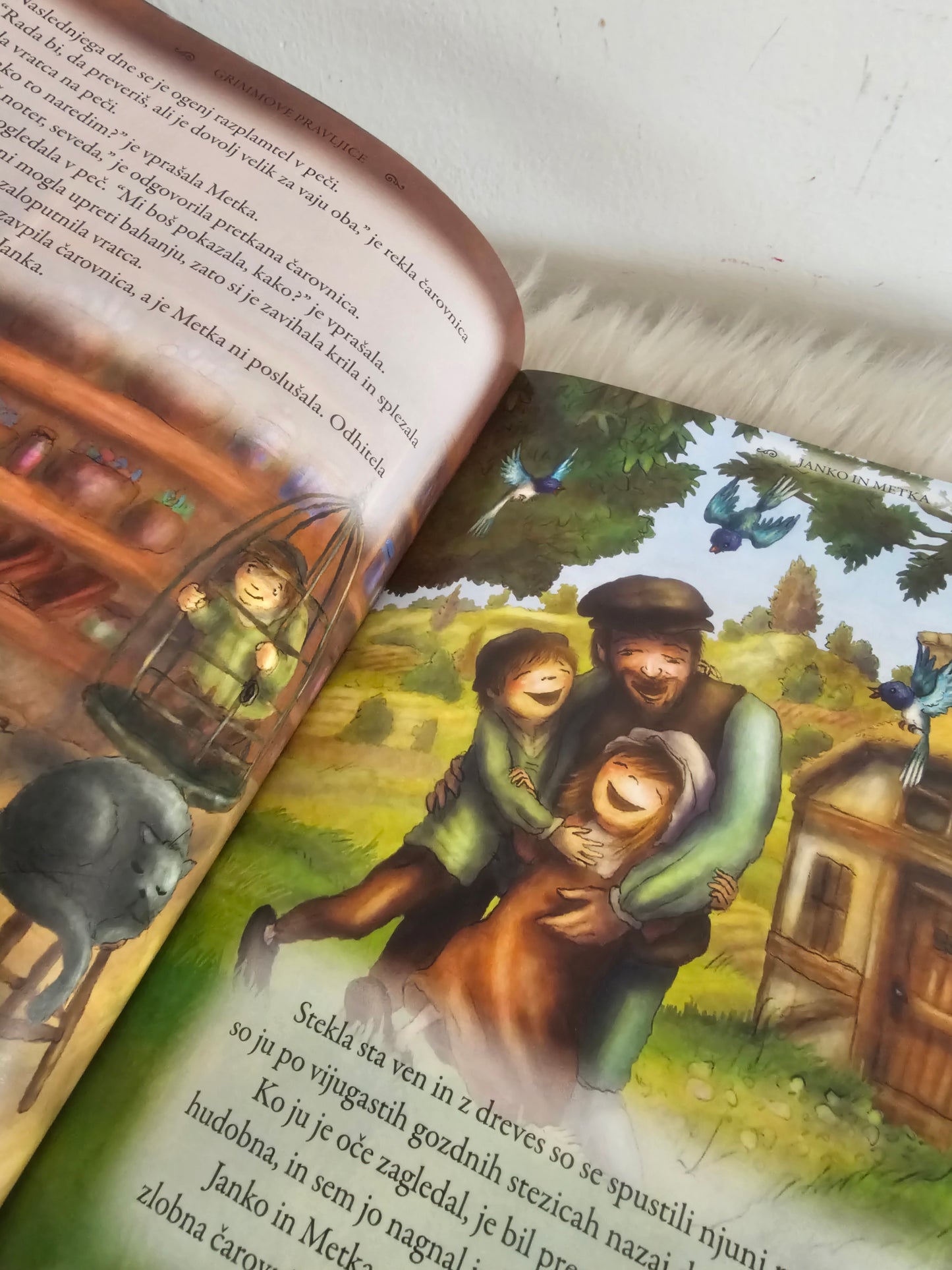 Grimmove pravljice Učila