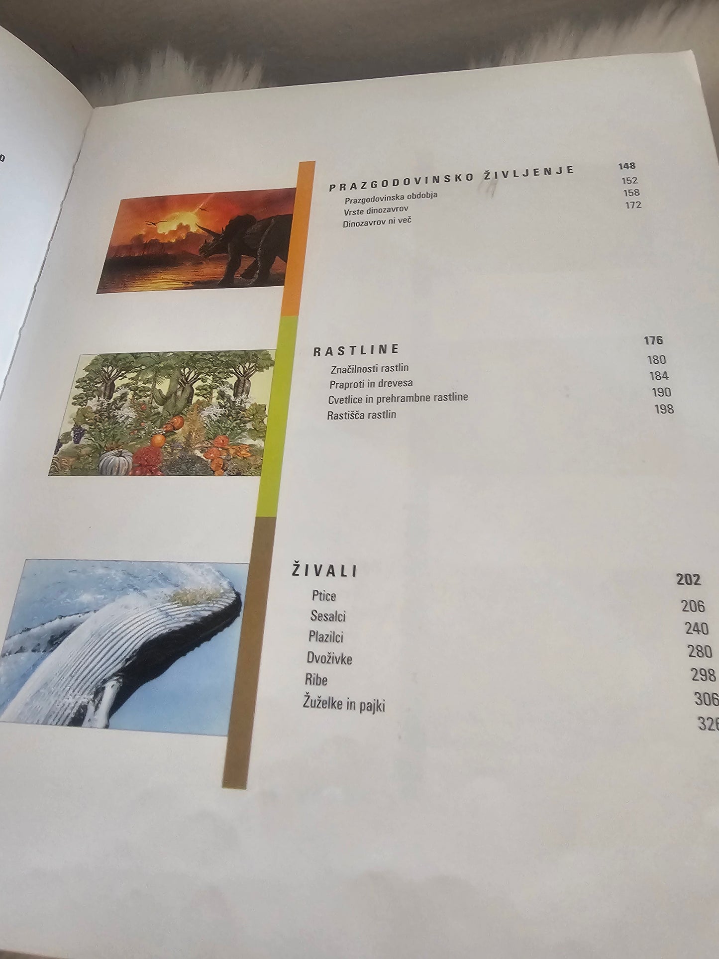 Slikovni vseved Prešernova družba