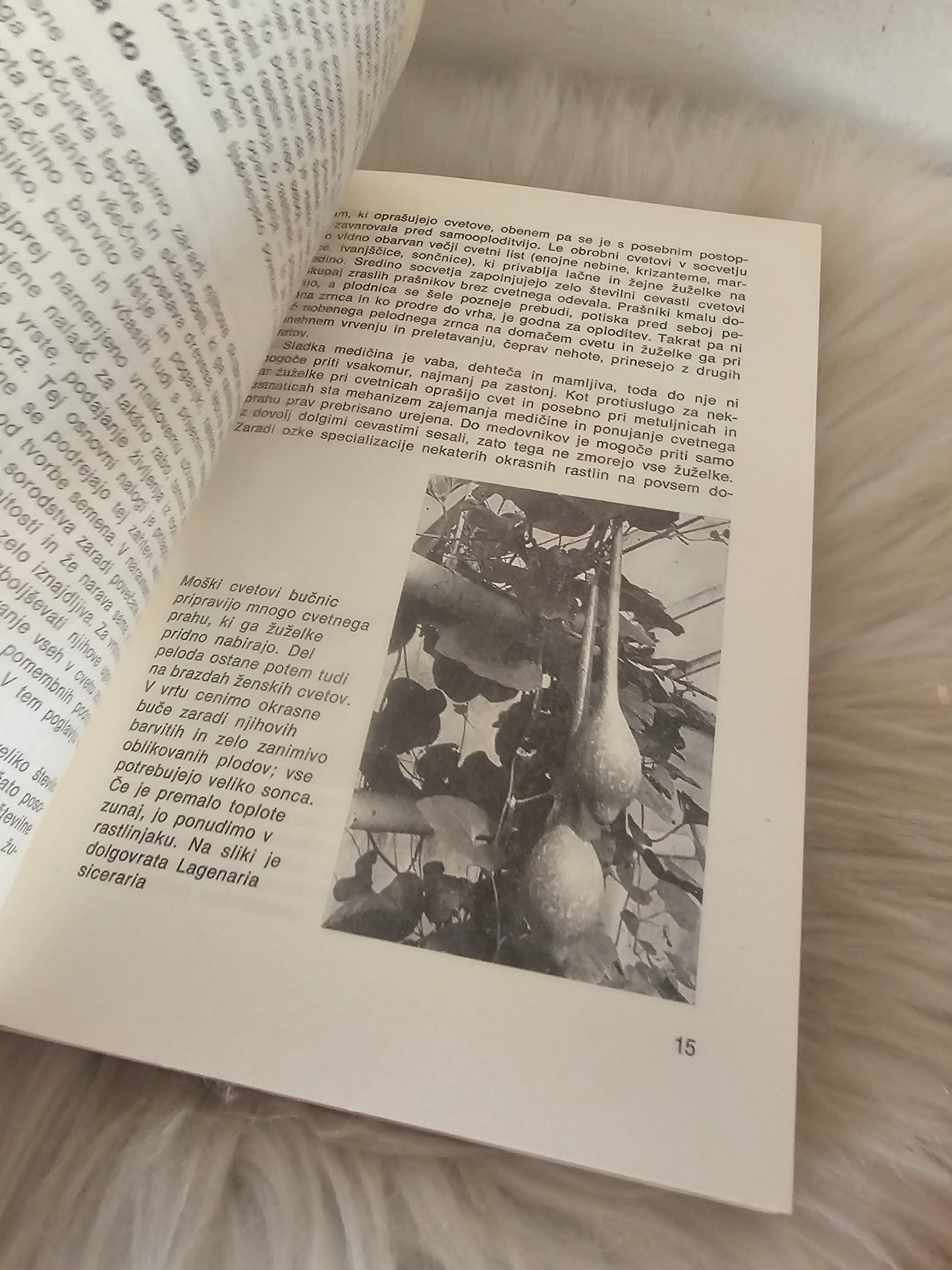 Razmnožujmo okrasne rastline Izidor Golob