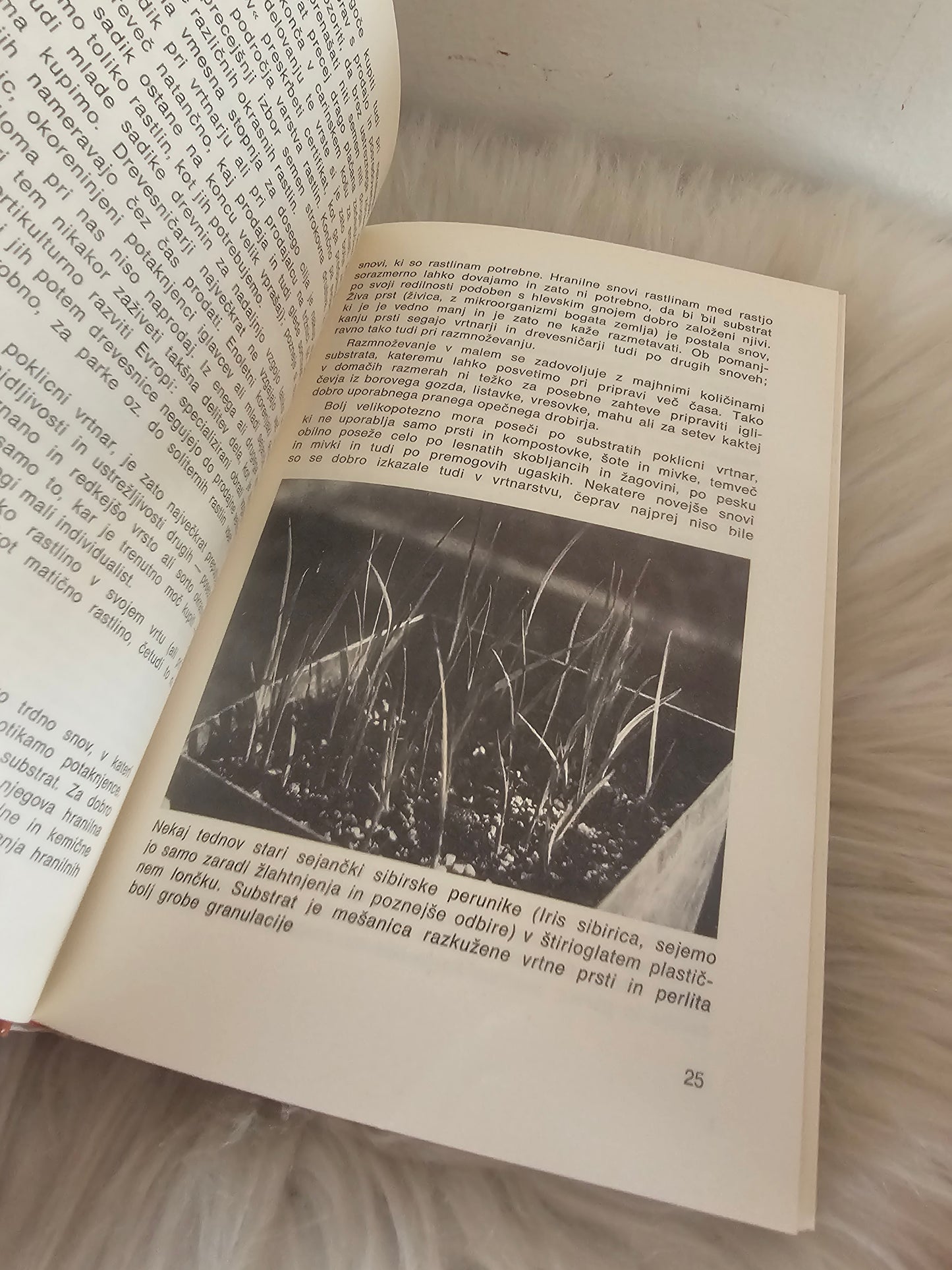 Razmnožujmo okrasne rastline Izidor Golob