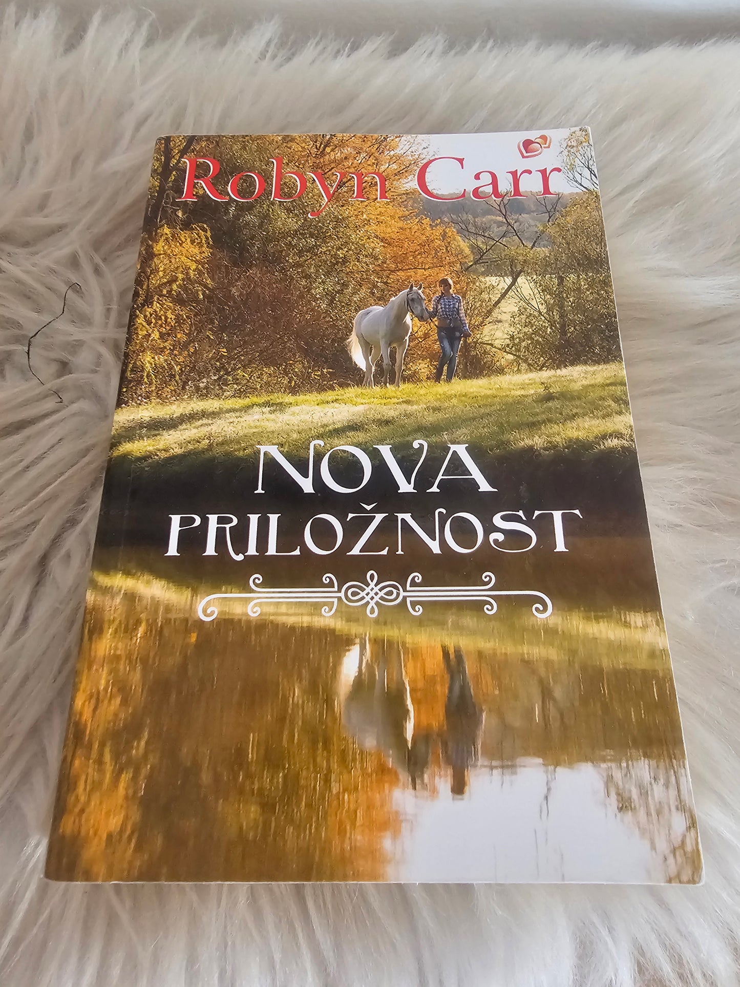 Nova priložnost Robyn Carr
