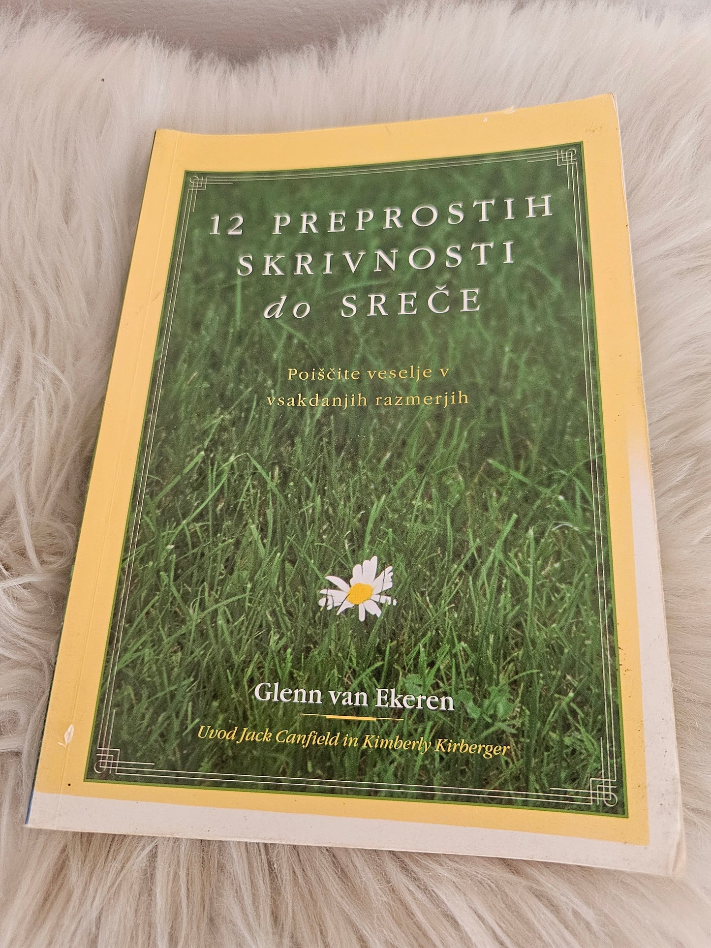 12 preprostuh skrivnosti do sreče Glenn van Ekern