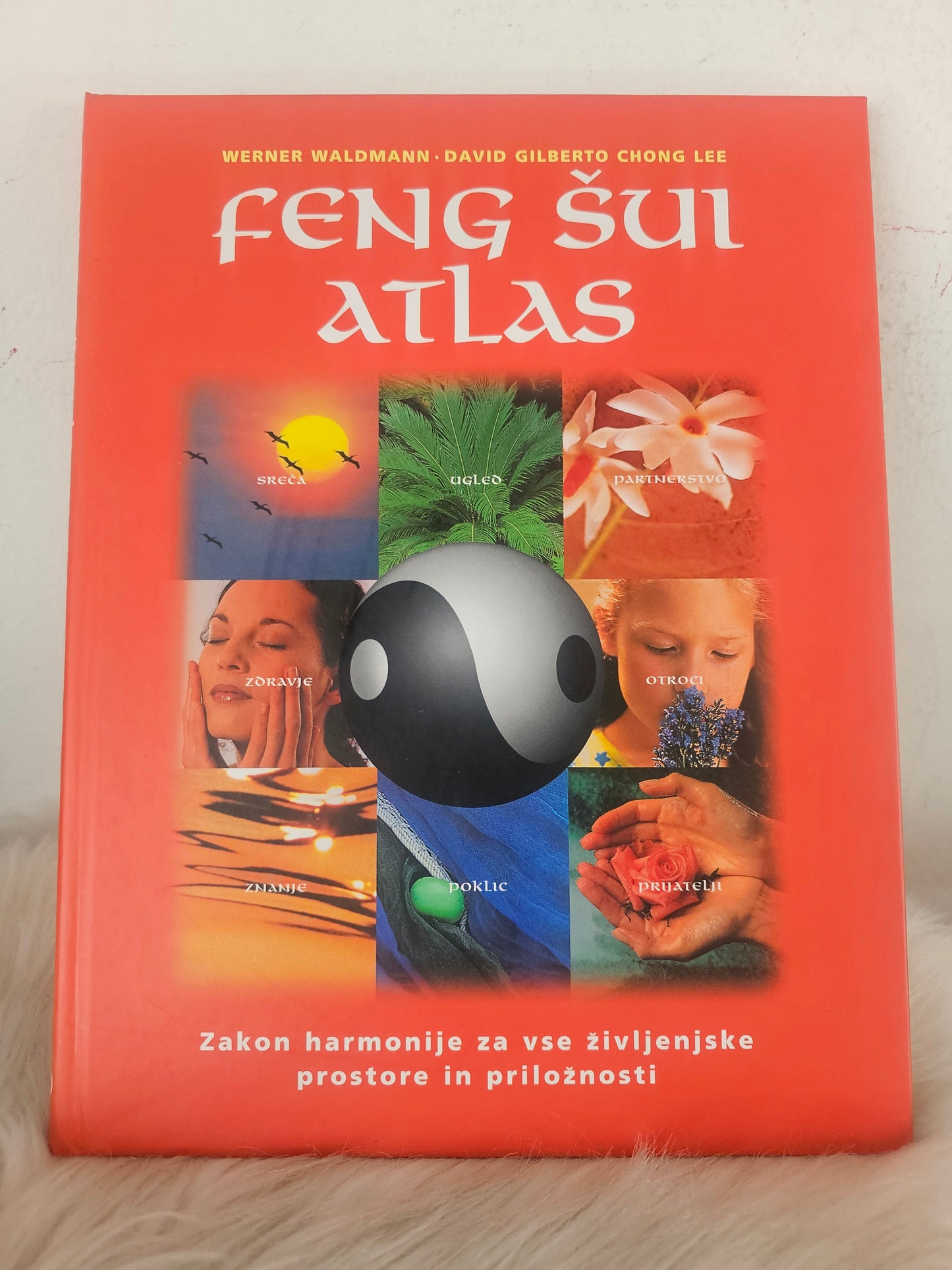 Feng Šui atlas Werner Waldmann David Gilbero Chong Lee