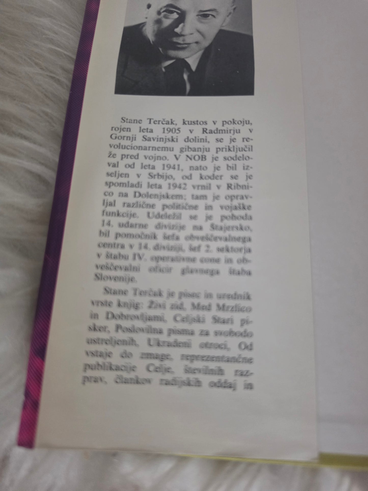 Ukradeni otroci Stane Trčak