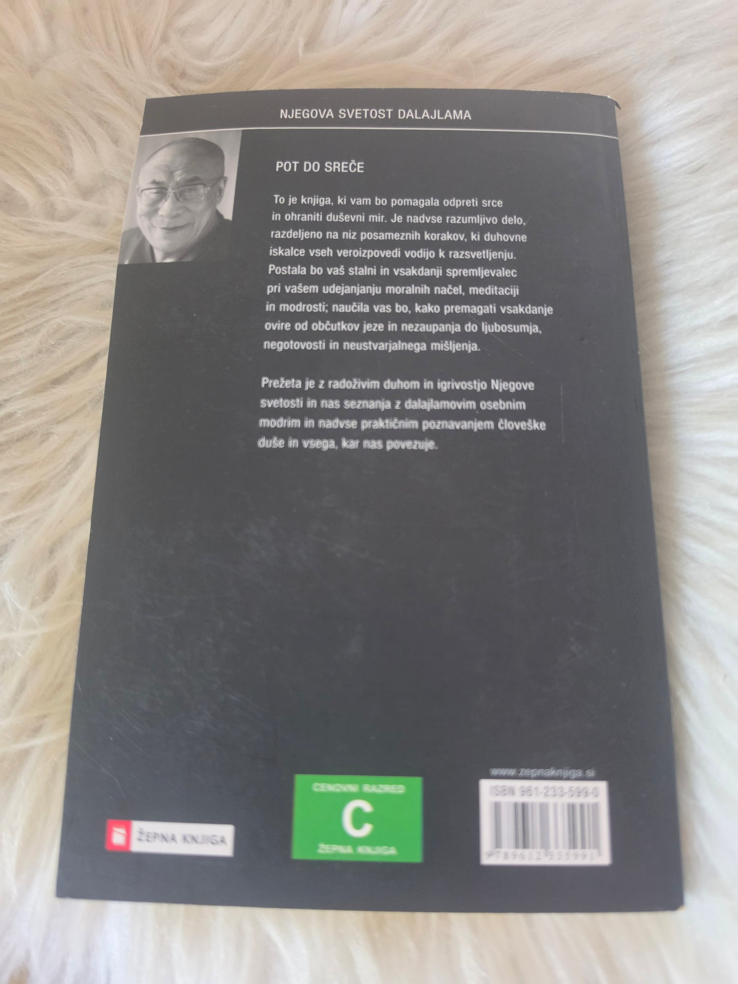Ljubezen z očarljivcem Julia Quinn