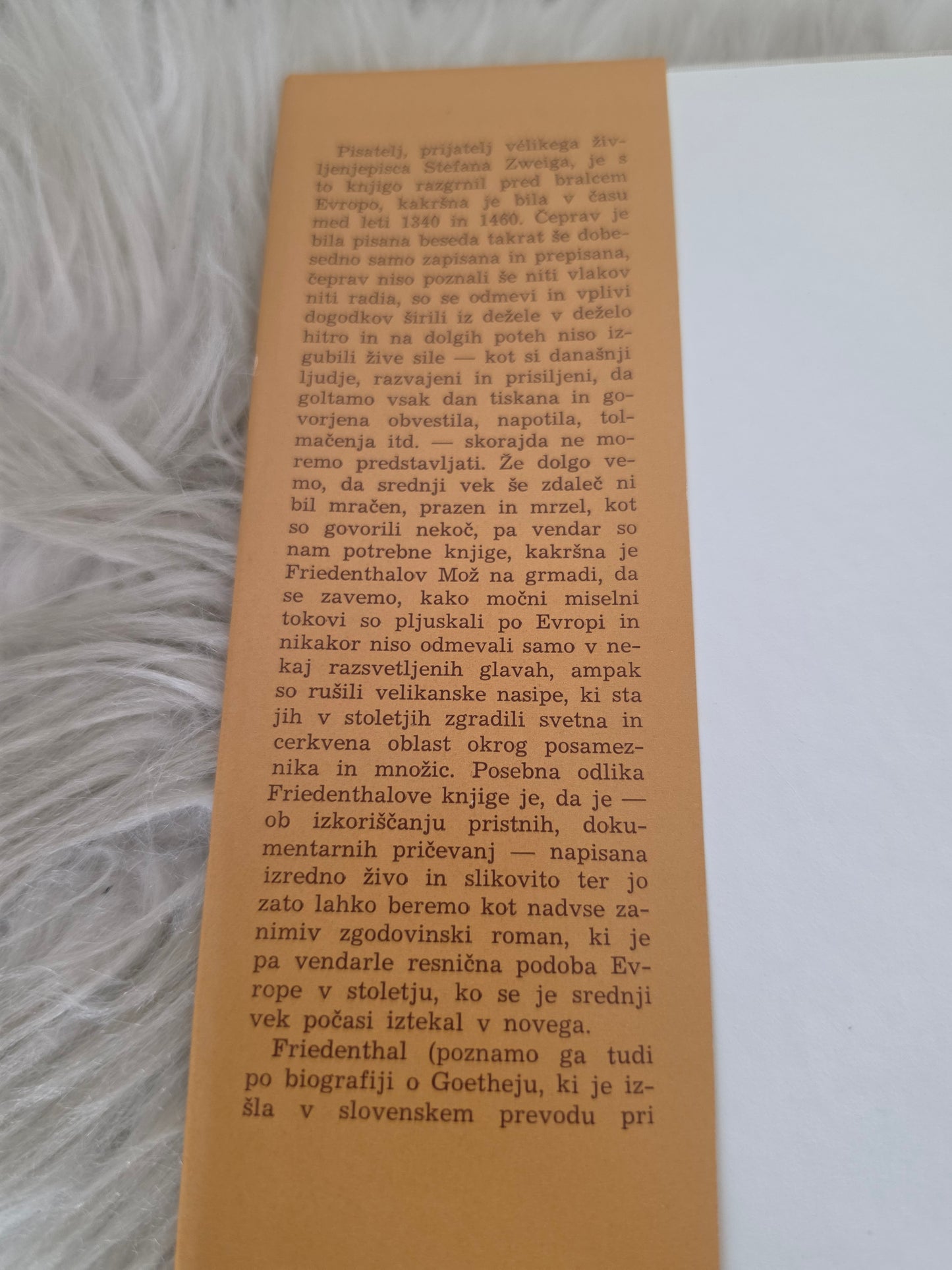 Mož na grmadi Richard Friedenthal