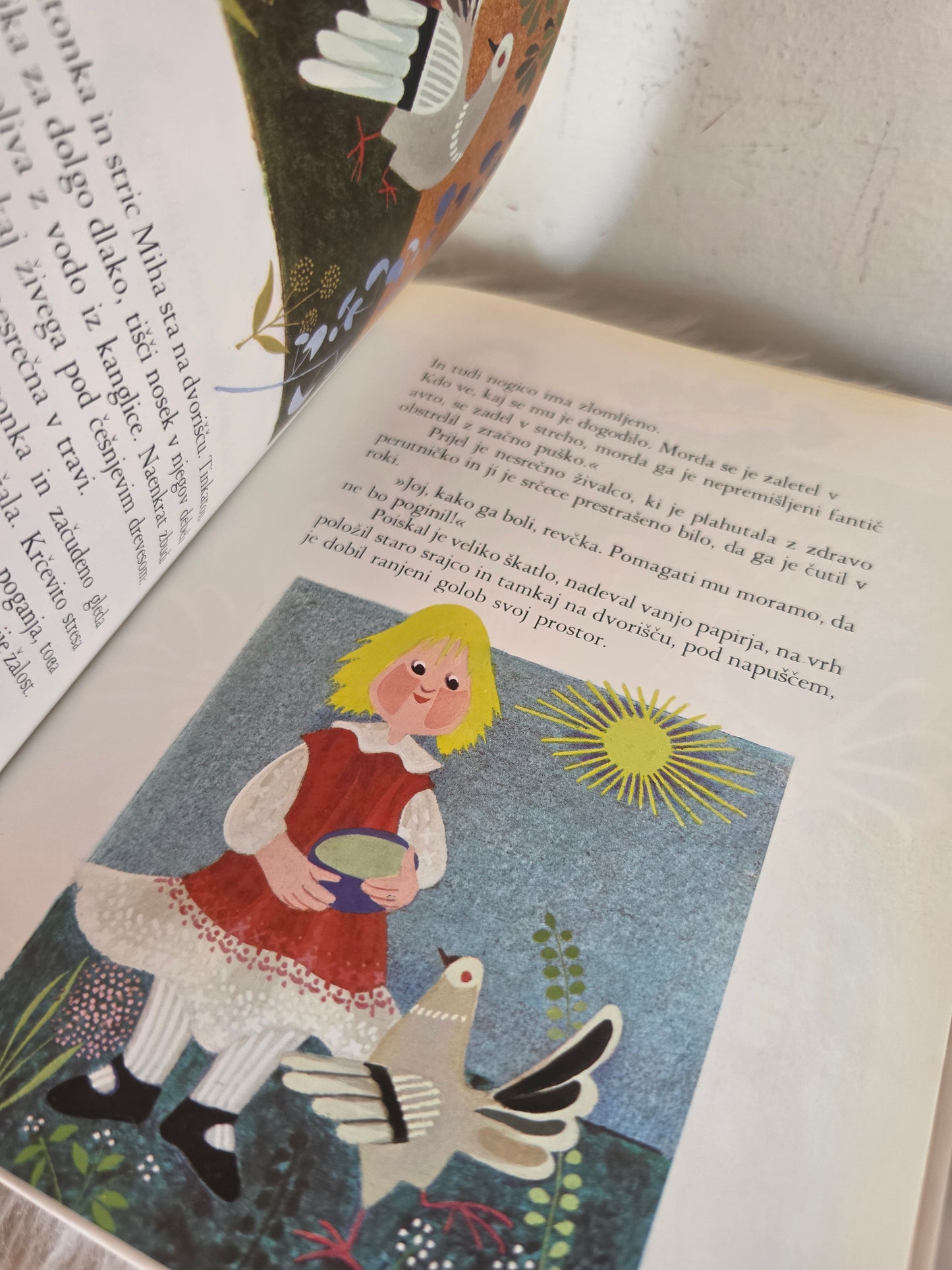 Tinkatonka Janez Vipotnik