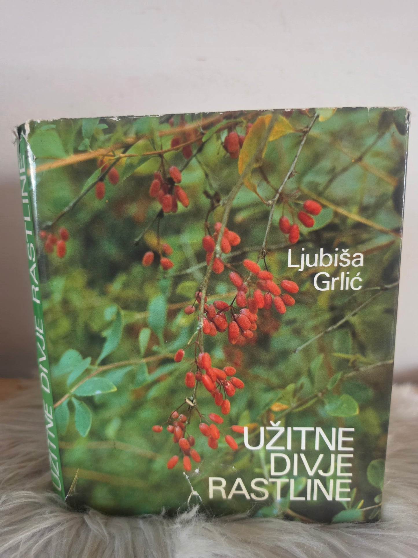 Užitne divje rastline Ljubiša Grlić