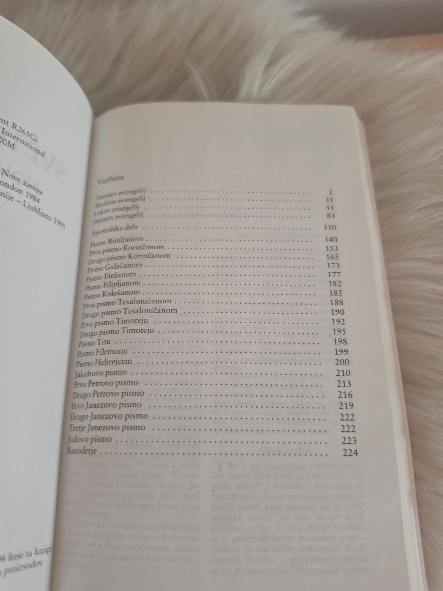 Otrokove pravice v Evropi več avtorjev