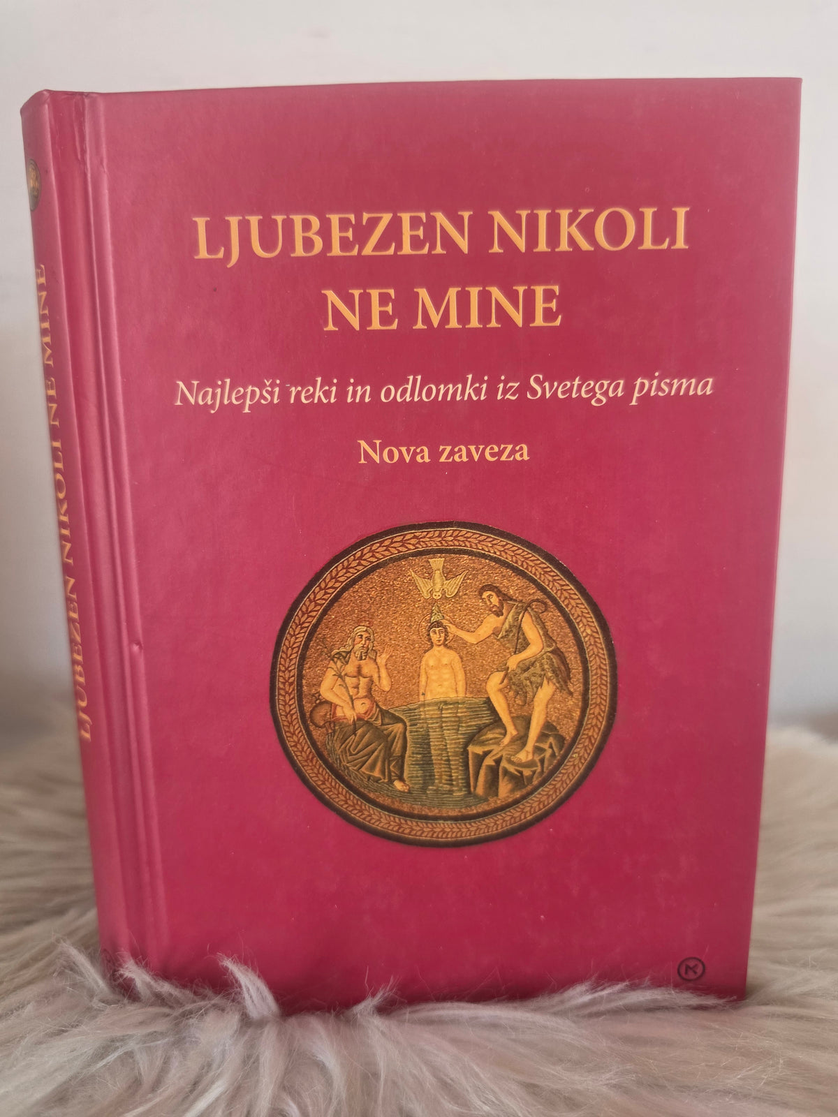 Ljubezen nikoli ne mine Mladinska knjiga