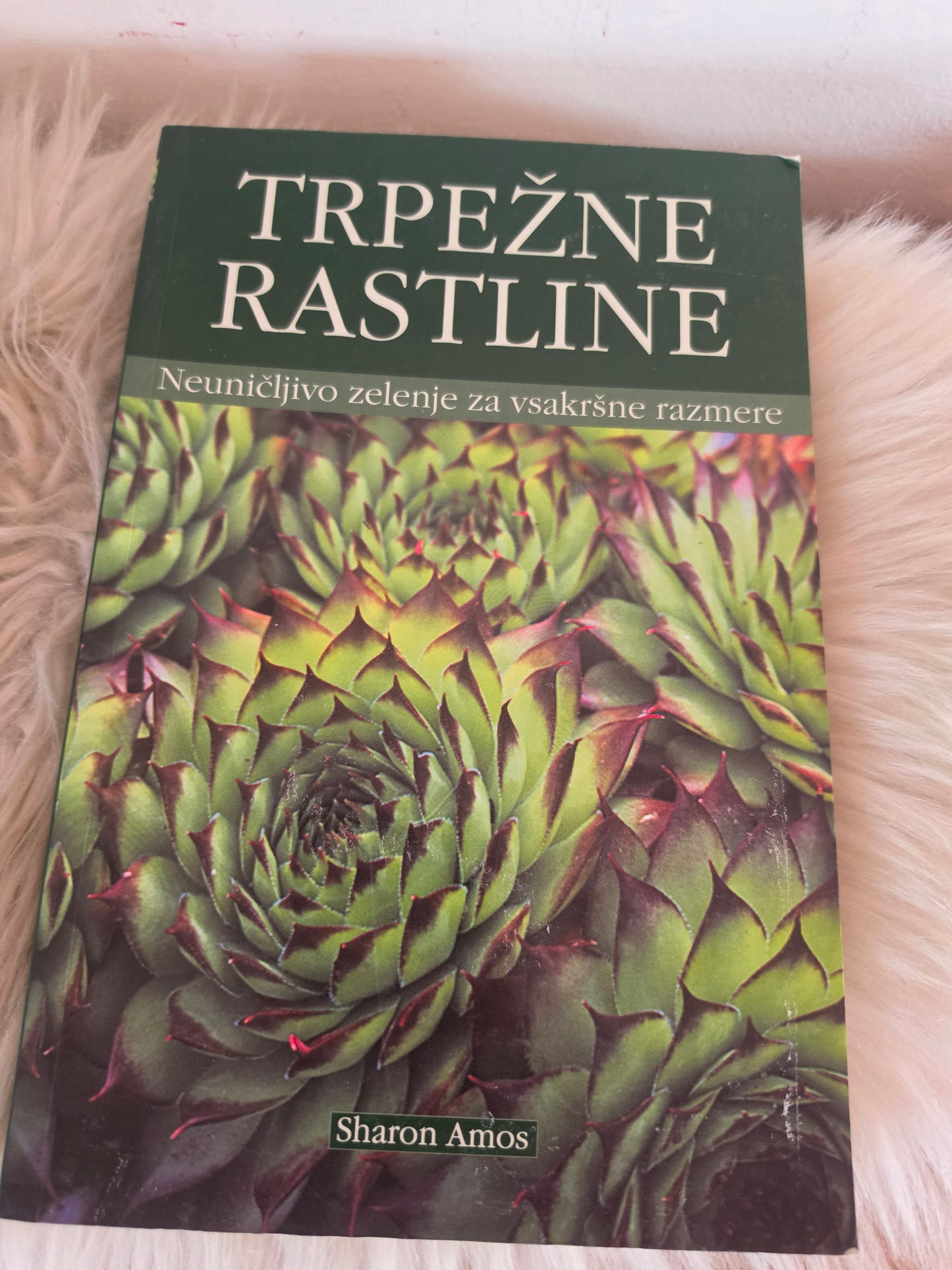 Trpežne rastline Sharon Amos