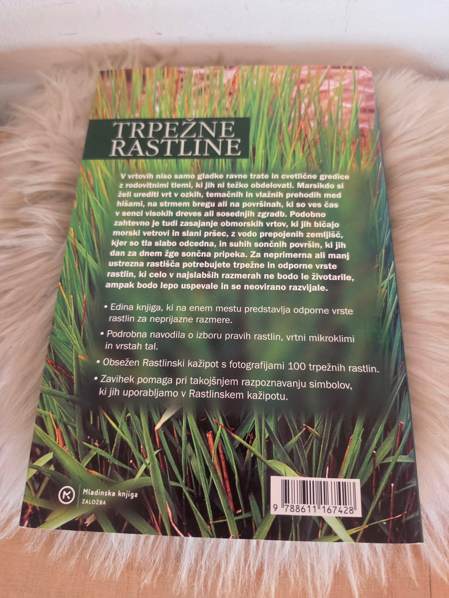 Trpežne rastline Sharon Amos