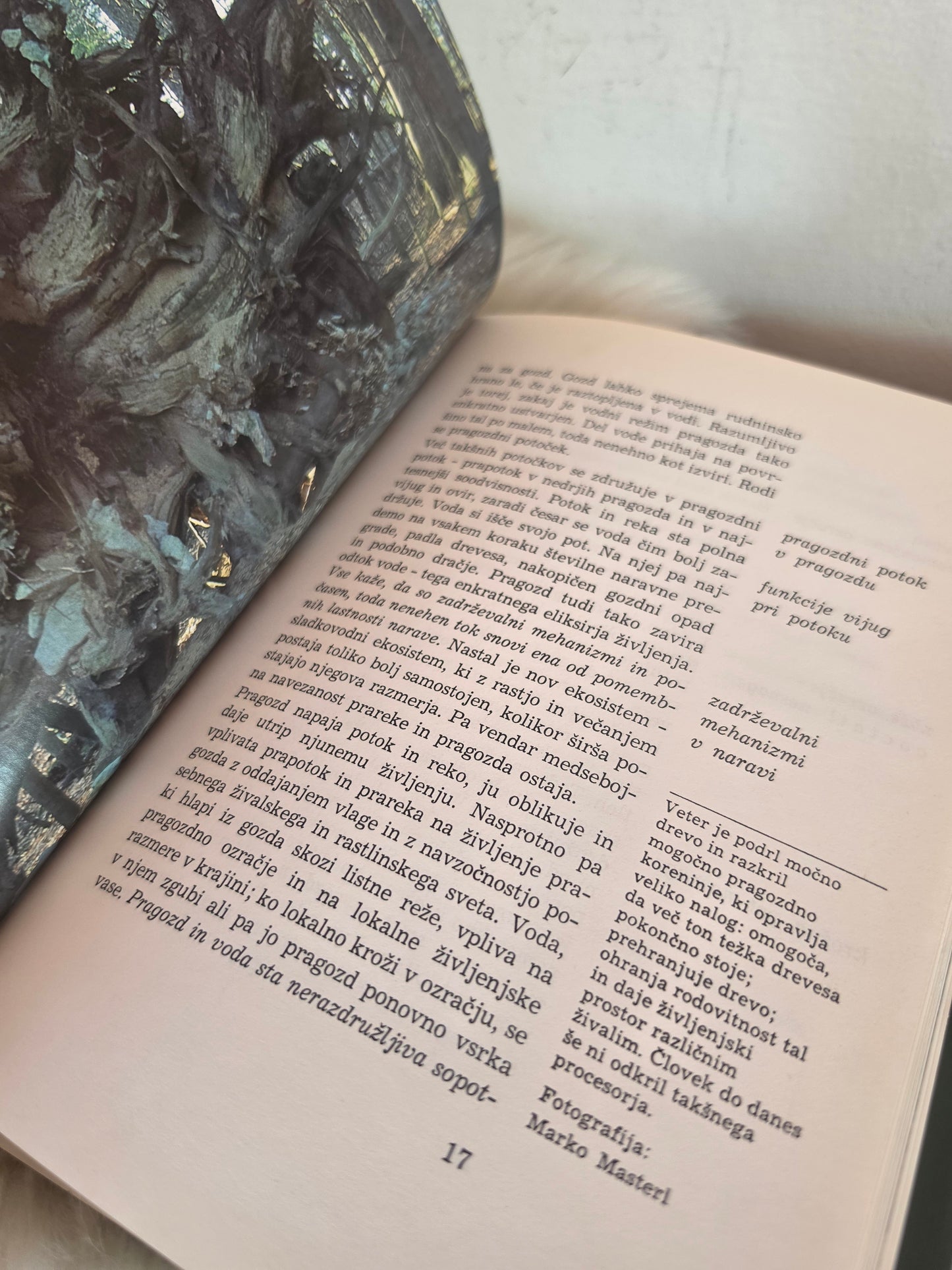 Pragozd v naši krajini Dušan Mlinšek