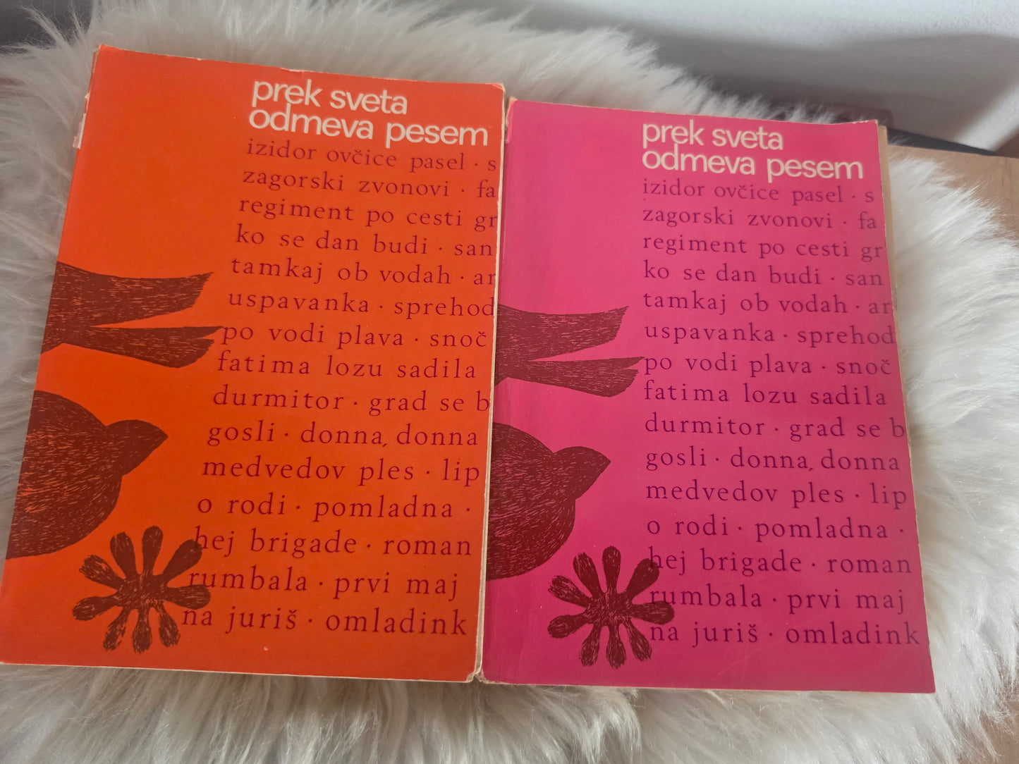 Prek sveta odmeva pesem Državna založba Slovenije