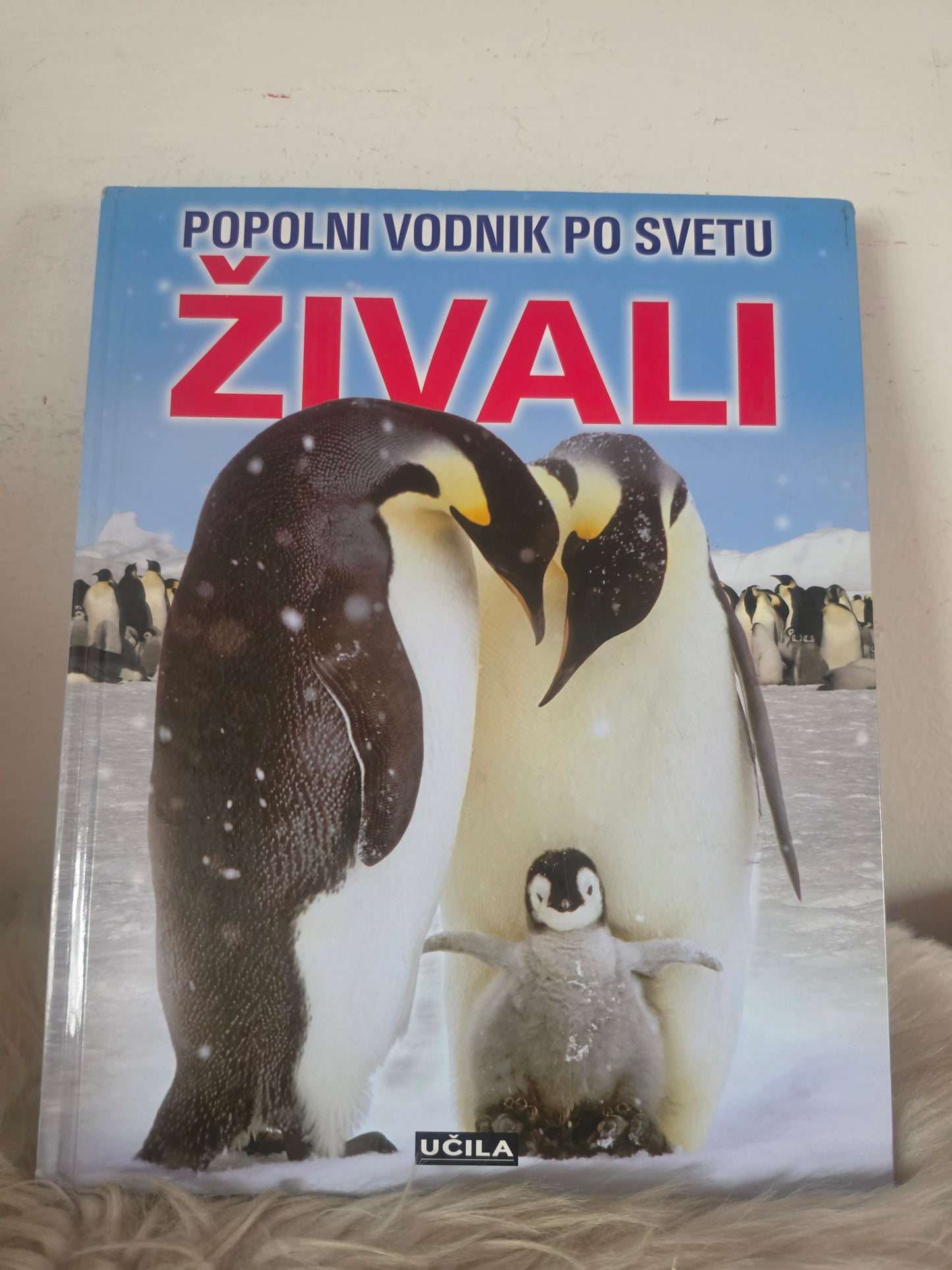 Popolni vodnik po svetu živali Učila