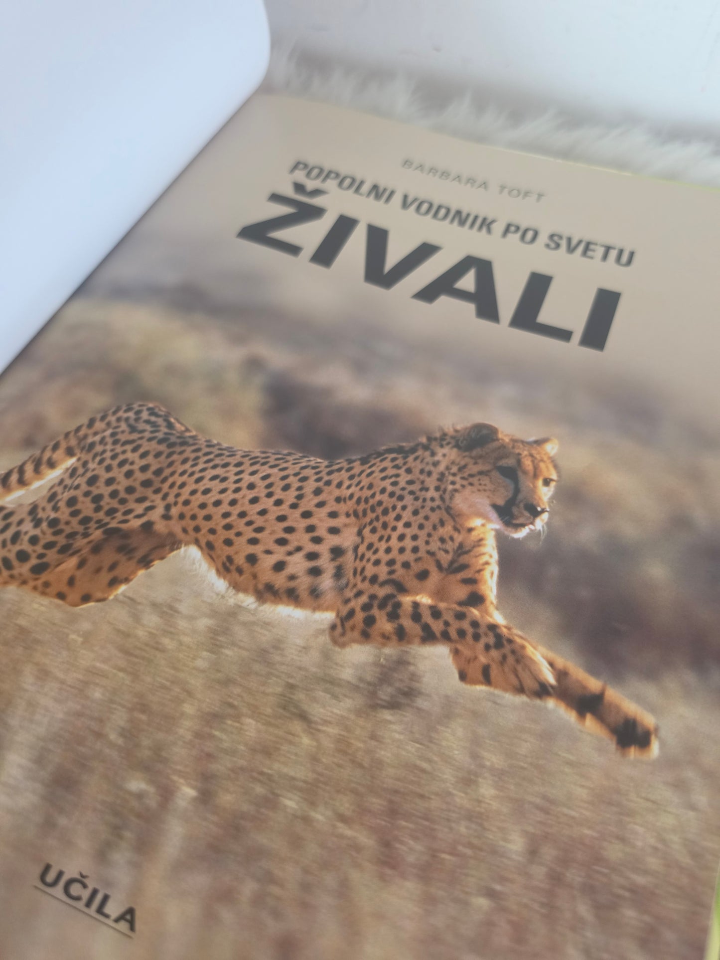 Popolni vodnik po svetu živali Učila
