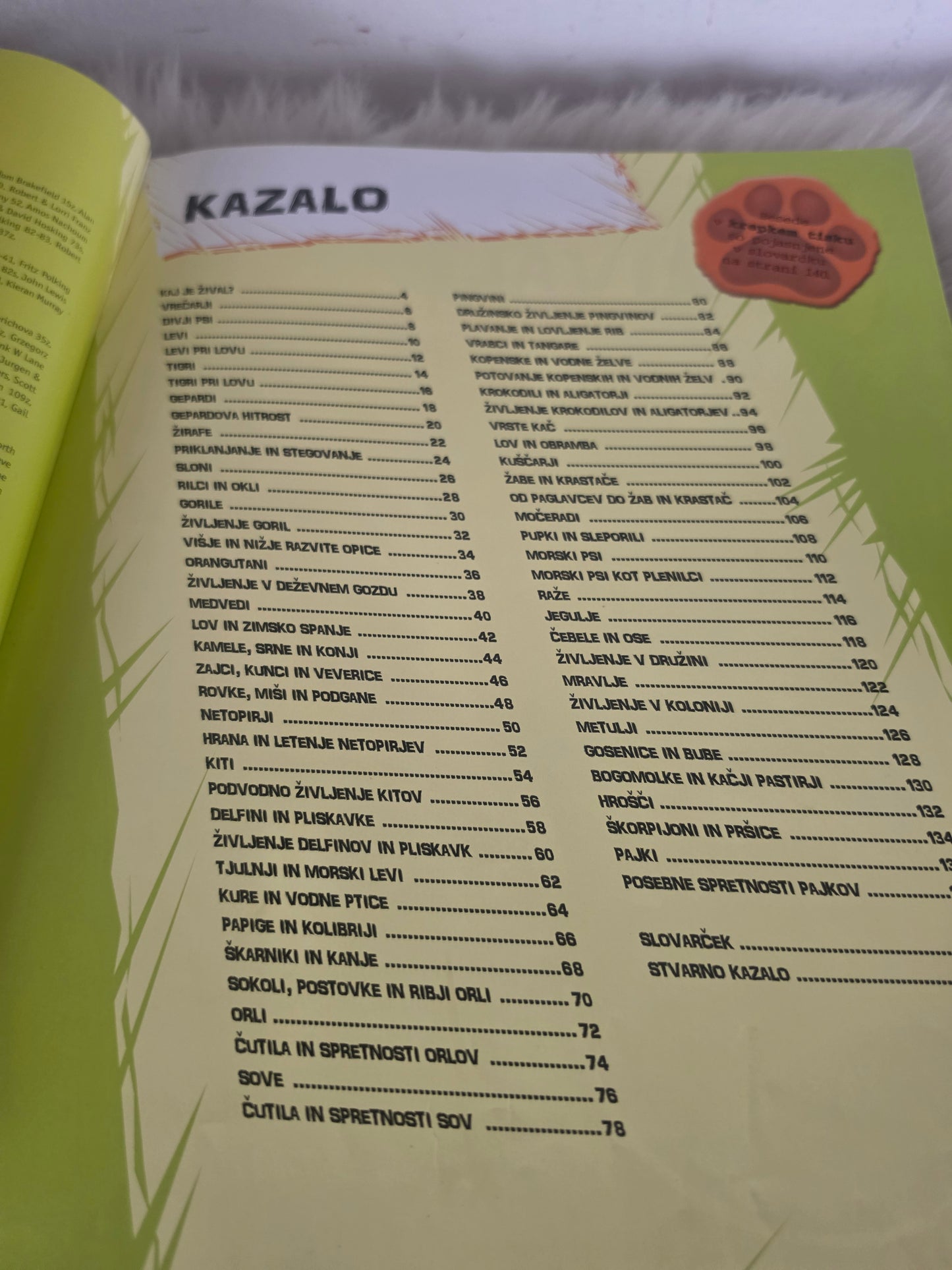 Popolni vodnik po svetu živali Učila