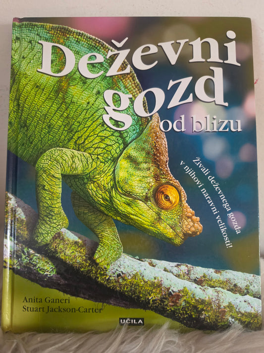 Deževni gozd od blizu Učila