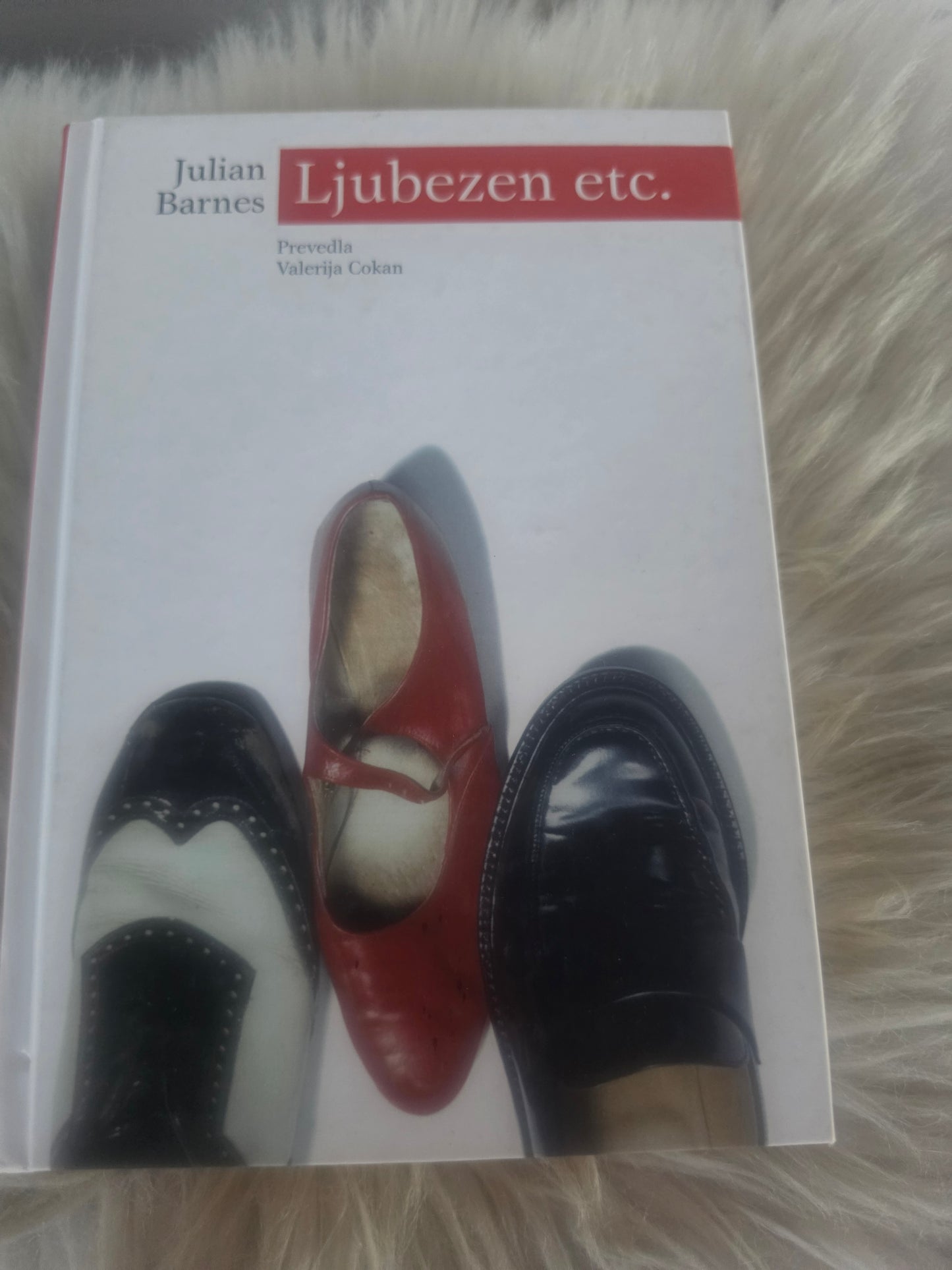 Ljubezen etc. Julian Barnes