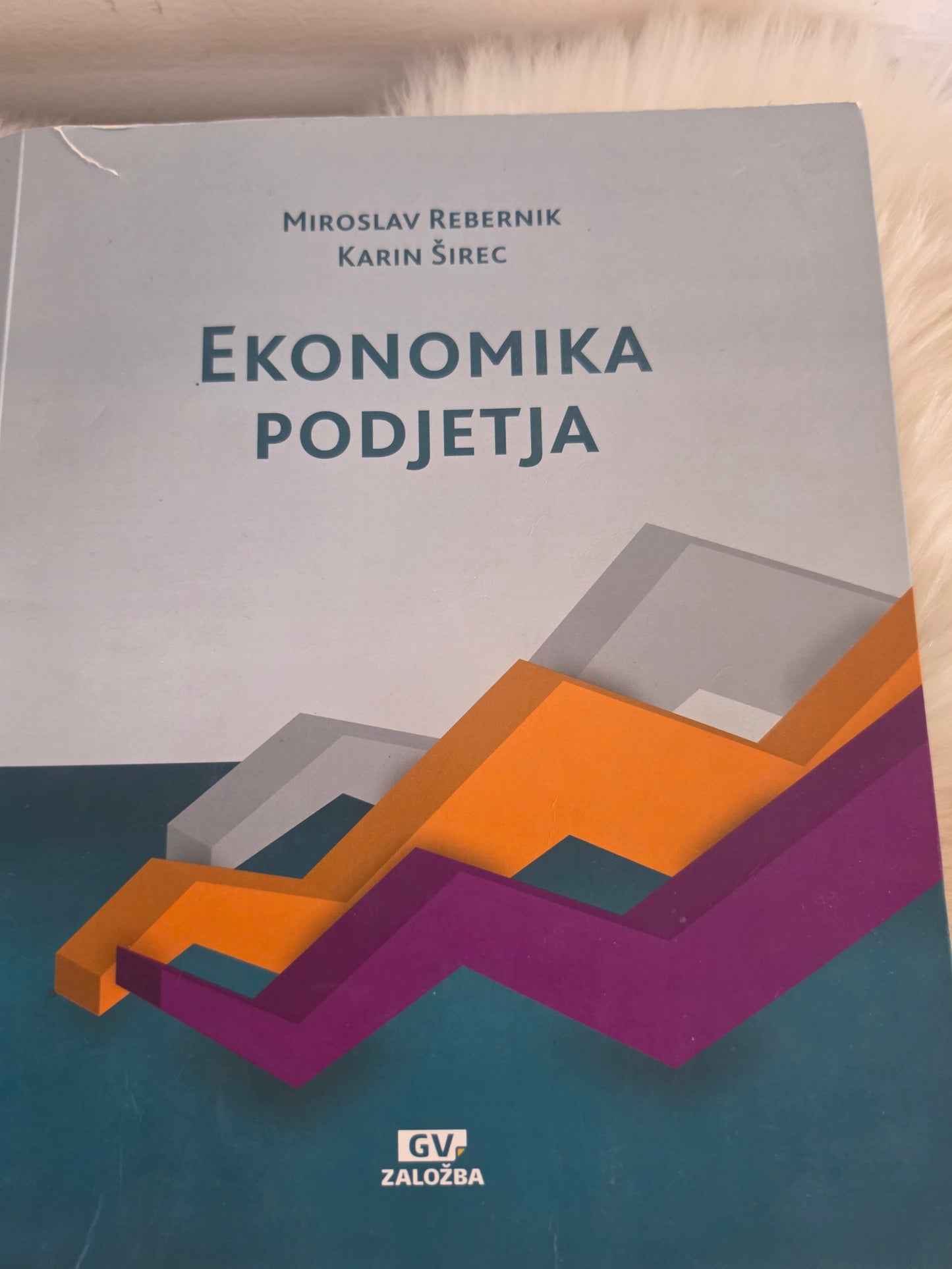 Ekonomika podjetja Mirosav Rebernik Karin Širec
