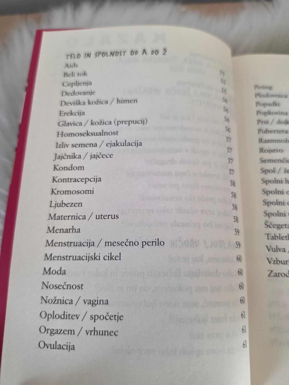 Dekliški pogovori Sylvia Schneider