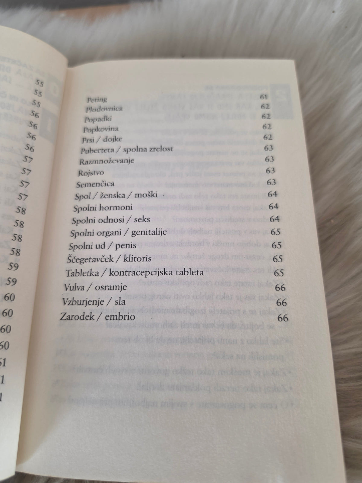 Dekliški pogovori Sylvia Schneider