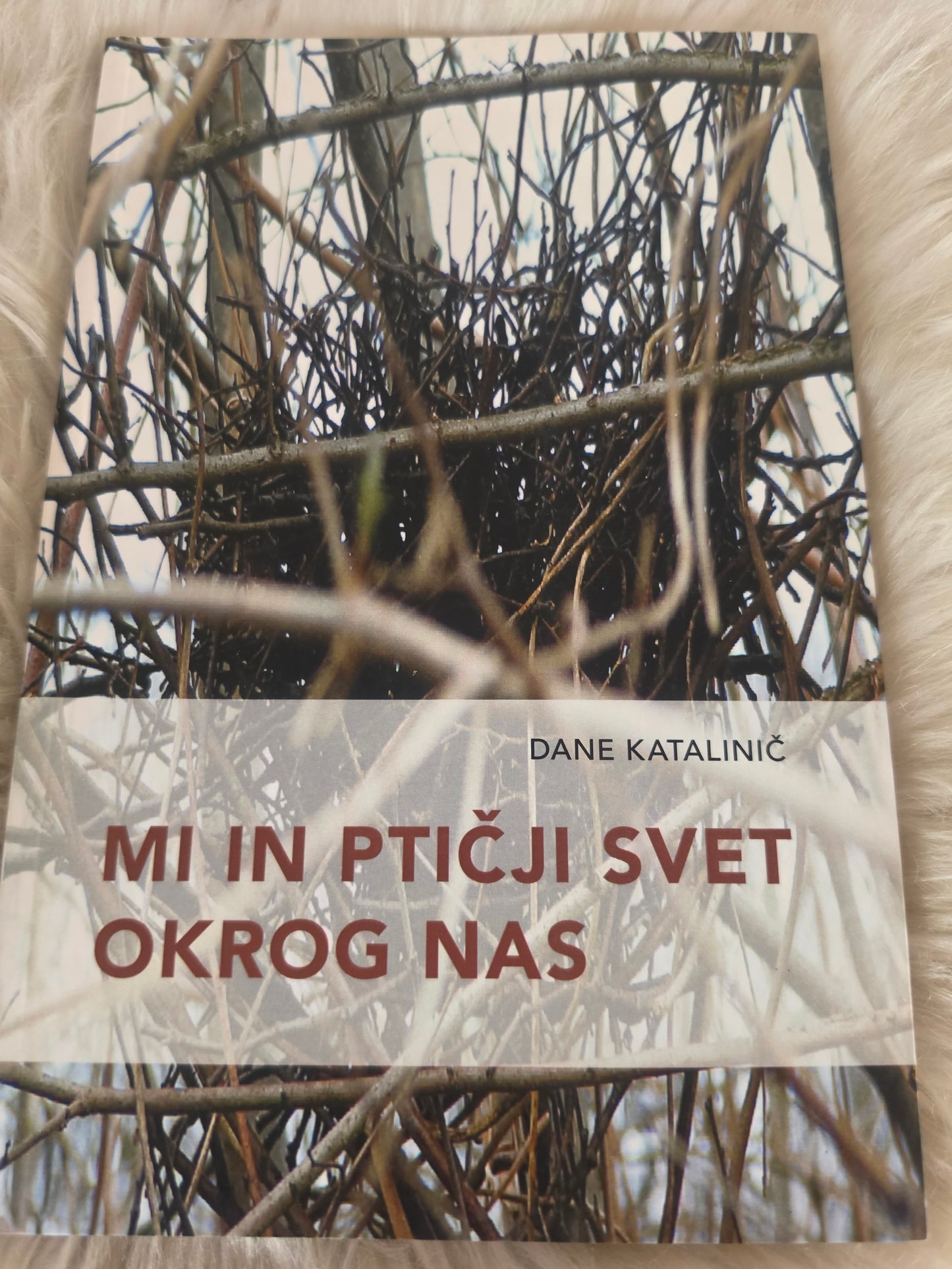 Mi in ptičji svet okrog nas Dane Katalinič