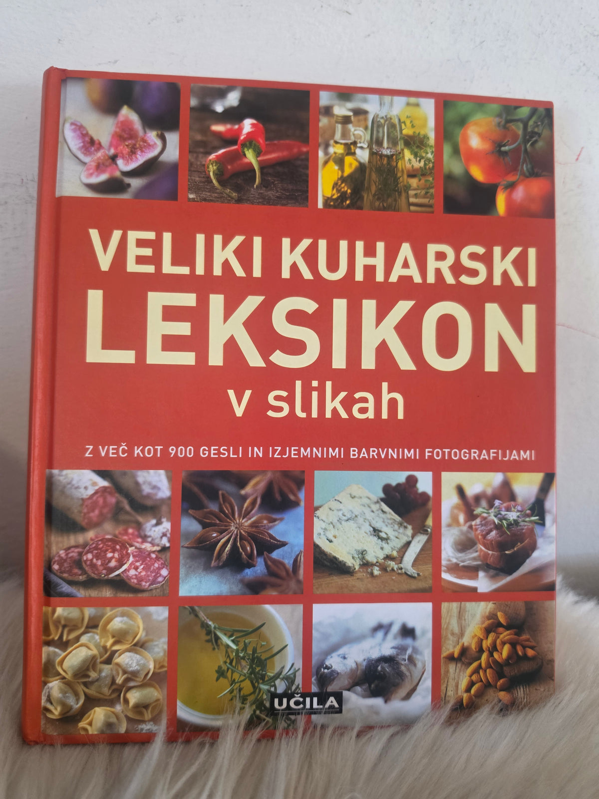 Veliki kuharski leksikon v slikah  Učila