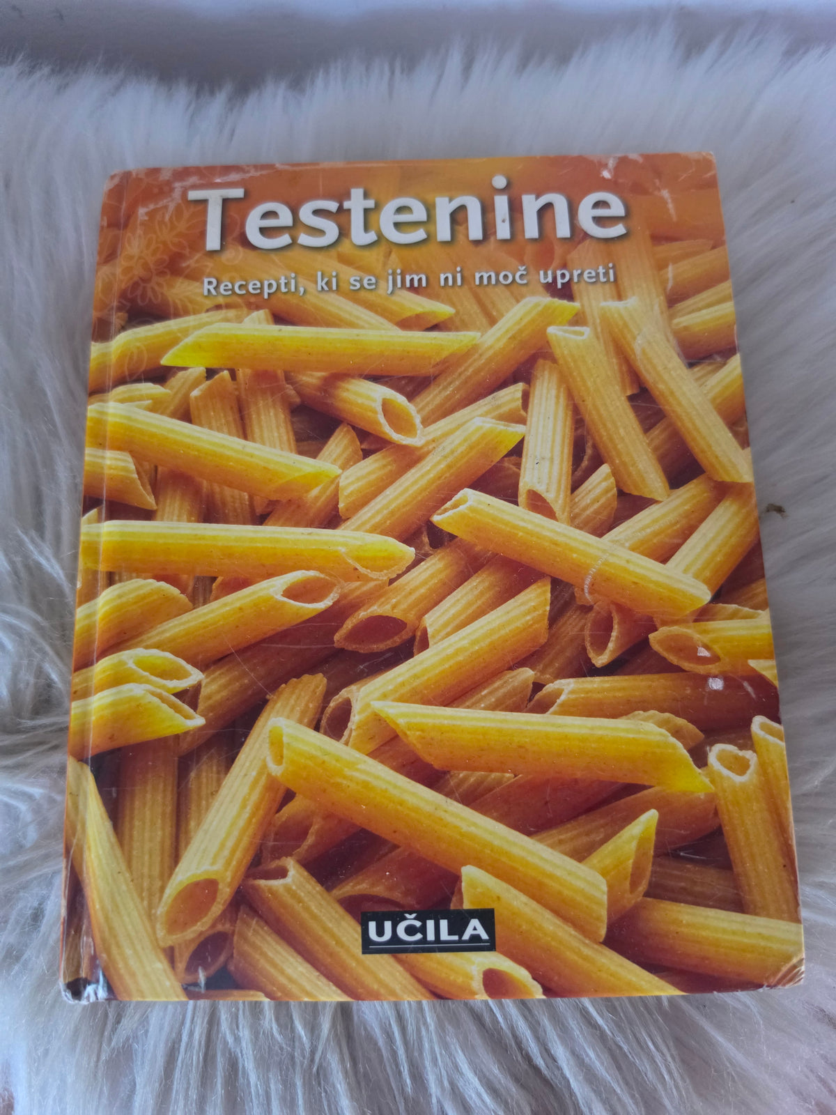Testenine Učila